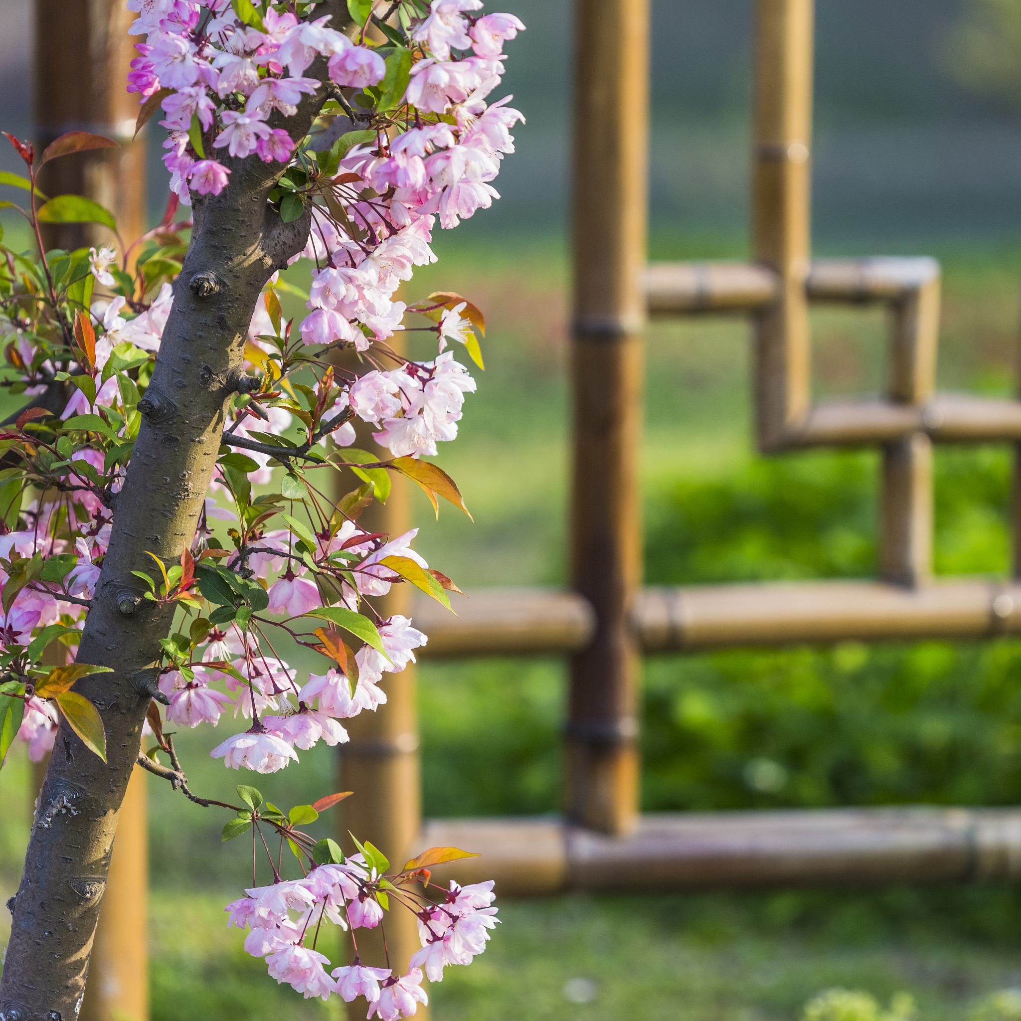窗户外面的景色像是春天一样鸟语花香般璀璨与窗内产生了极大的反差这句话合理吗？