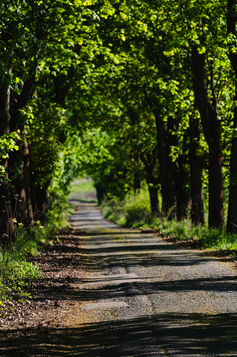 走过小路，发现别样景致，心灵的宁静与升华
