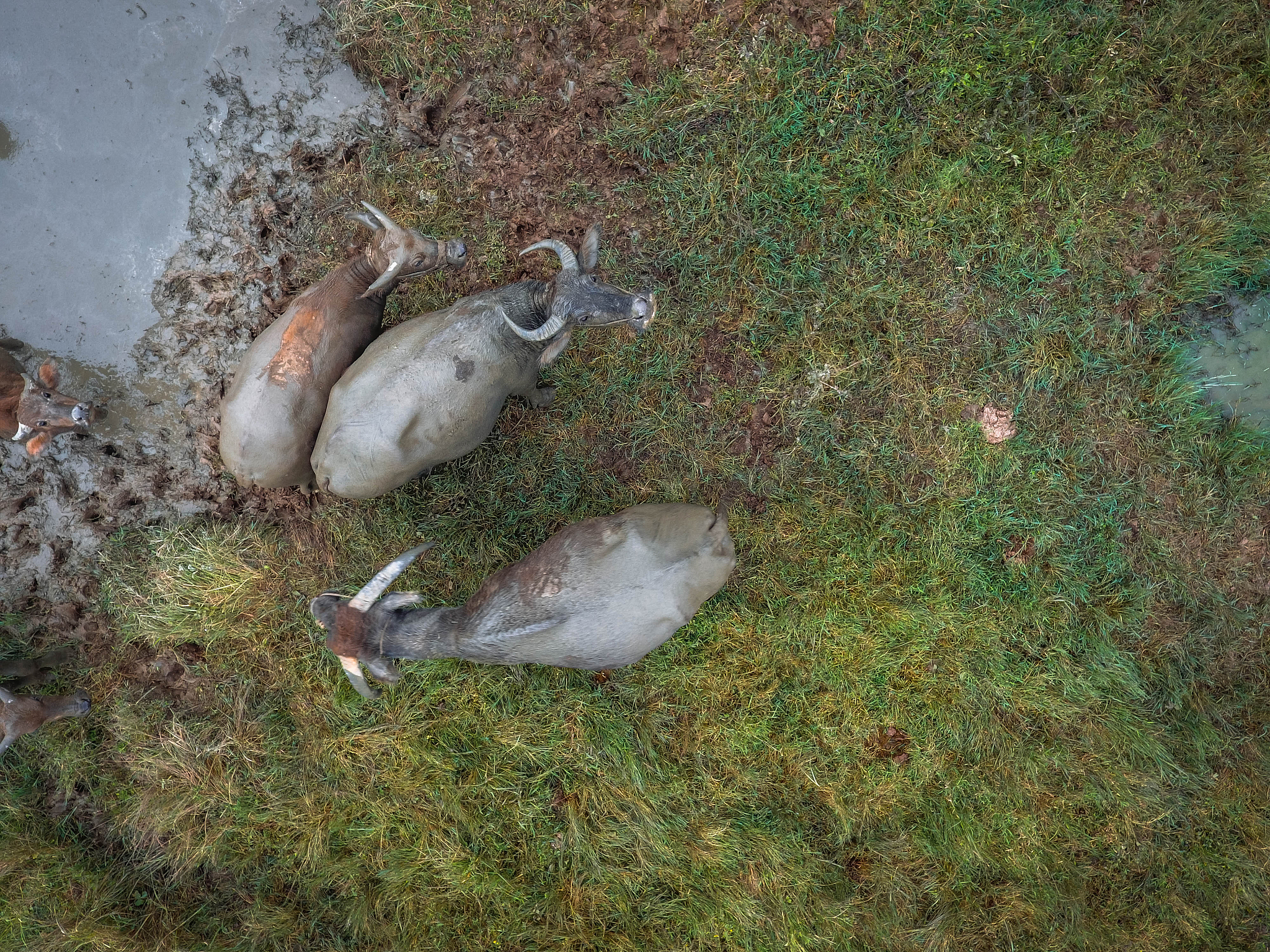贵州职校农业综合技术专业就业前景好不好？好就业吗