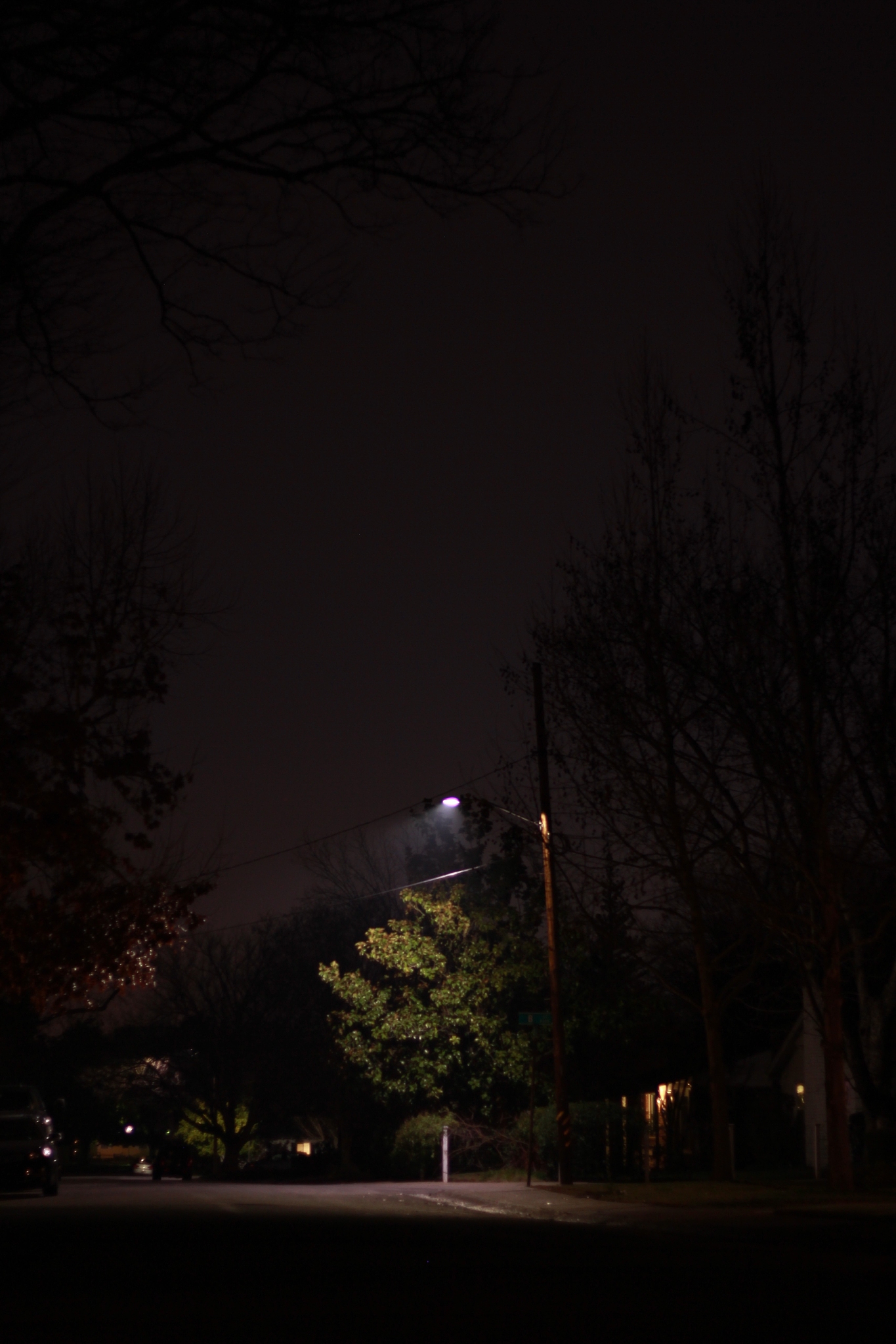 low angle view of illuminated street light by tree at night