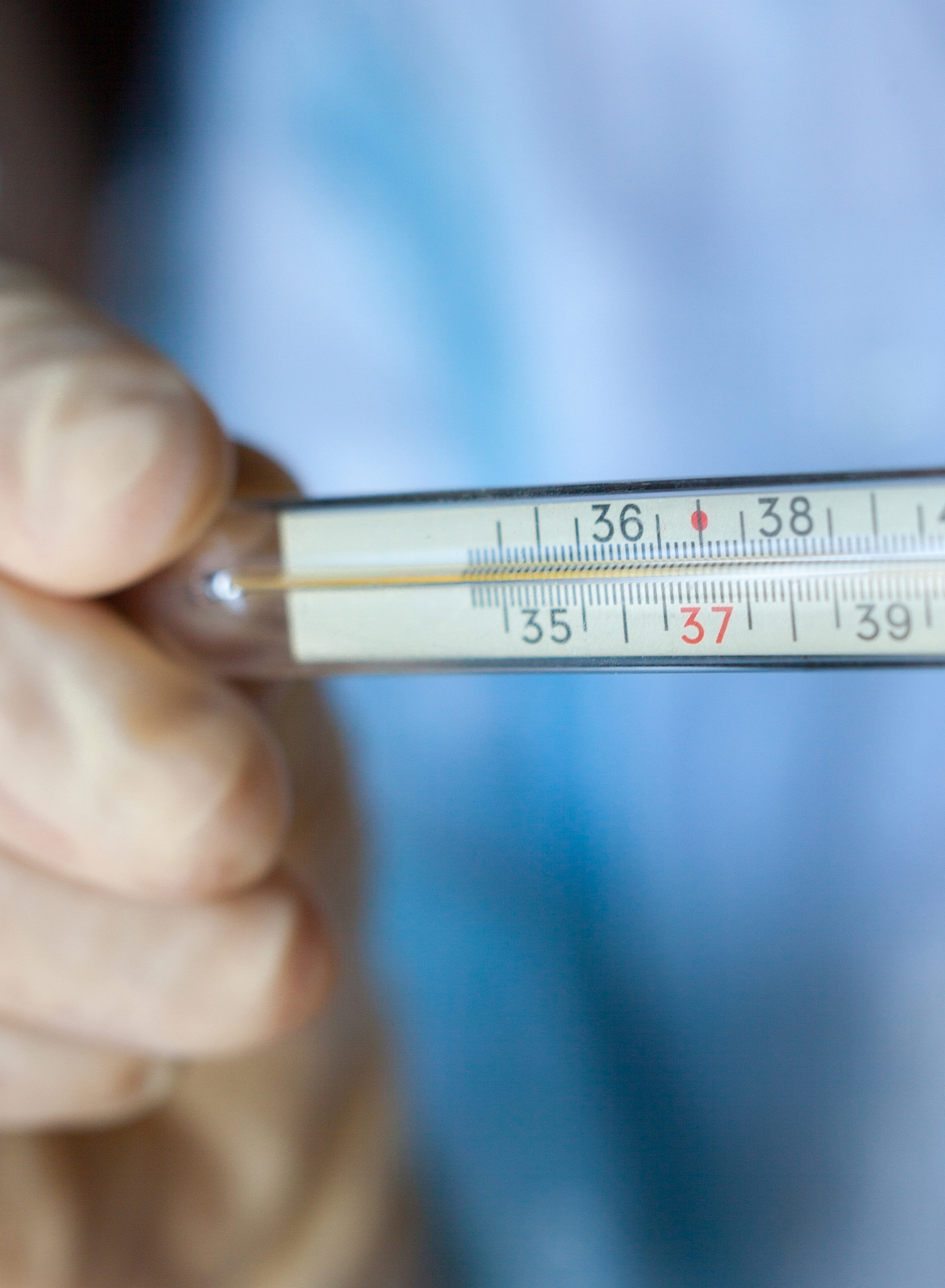 持续一周低烧咋办