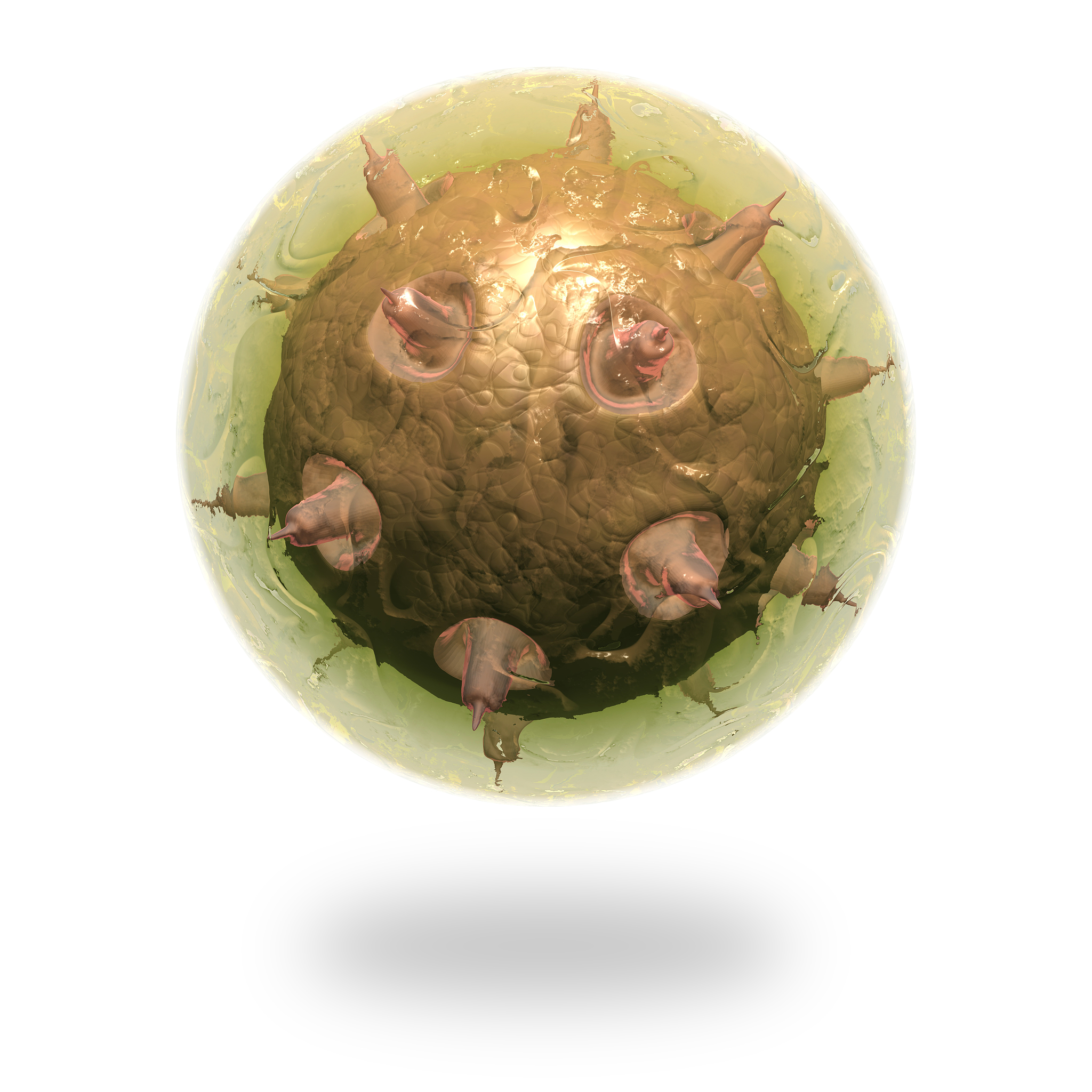 线粒体变异遗传