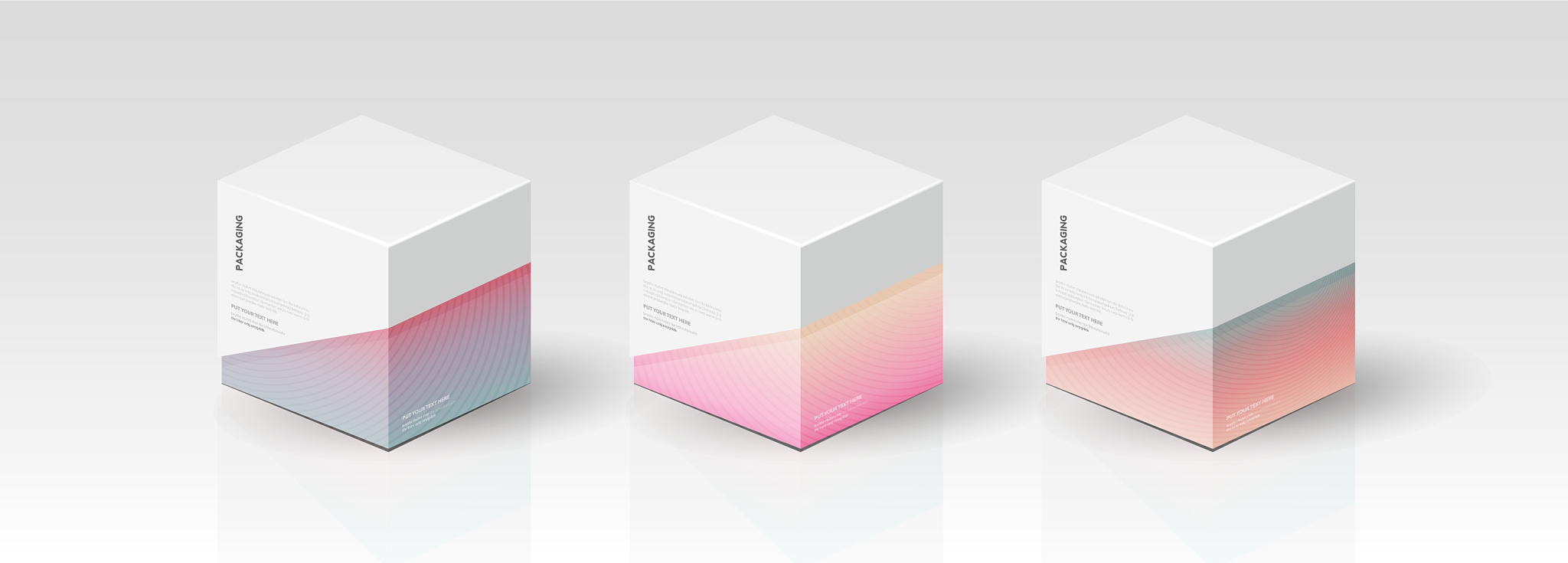 在线包装设计教学：技巧、工具和实践建议