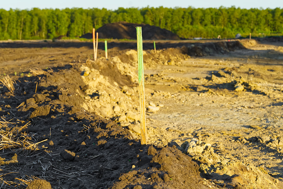 中耕会产生什么样的气象效应？为什么？