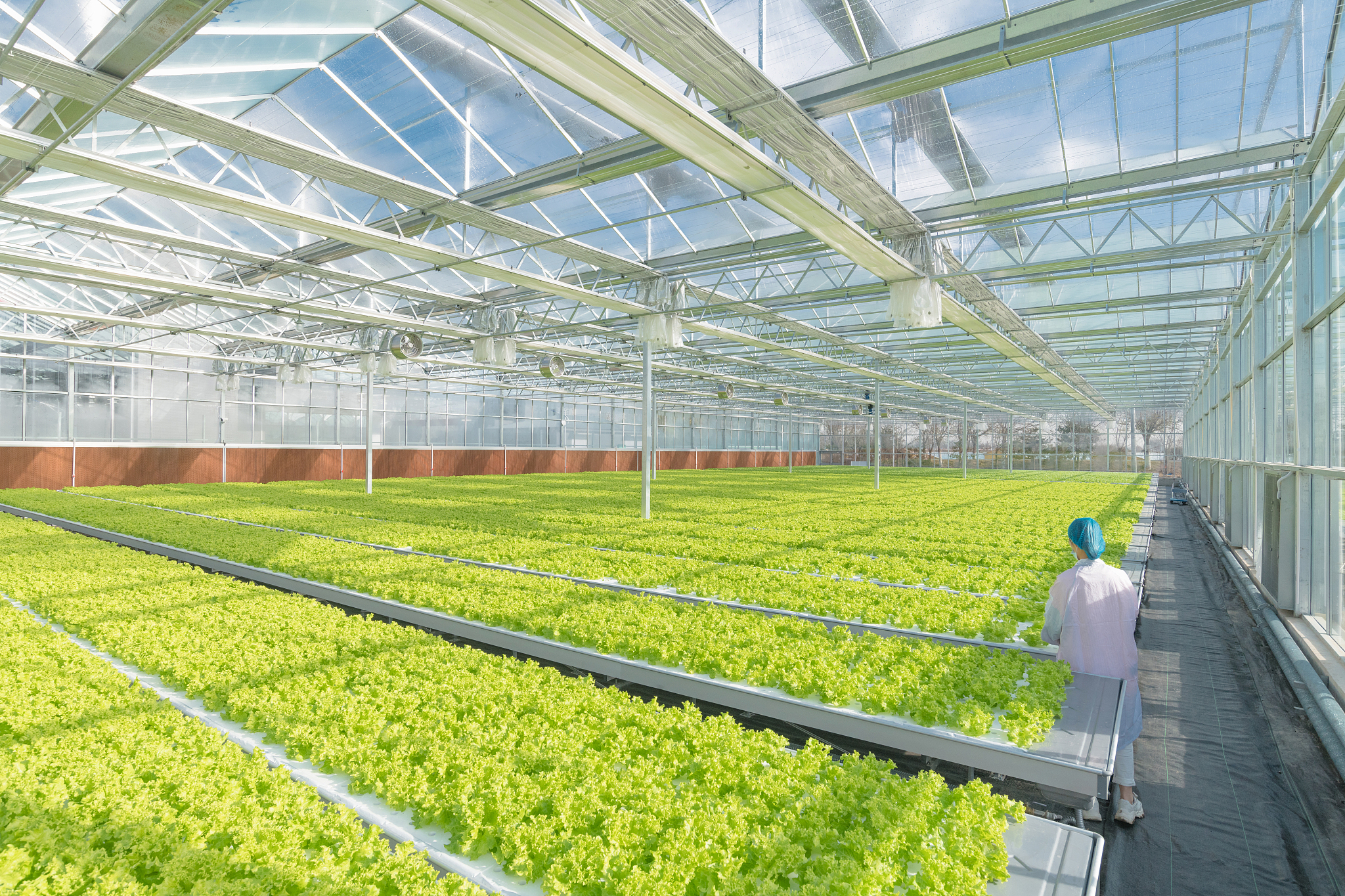 重庆农业学校设施农业技术专业怎么样？前景如何