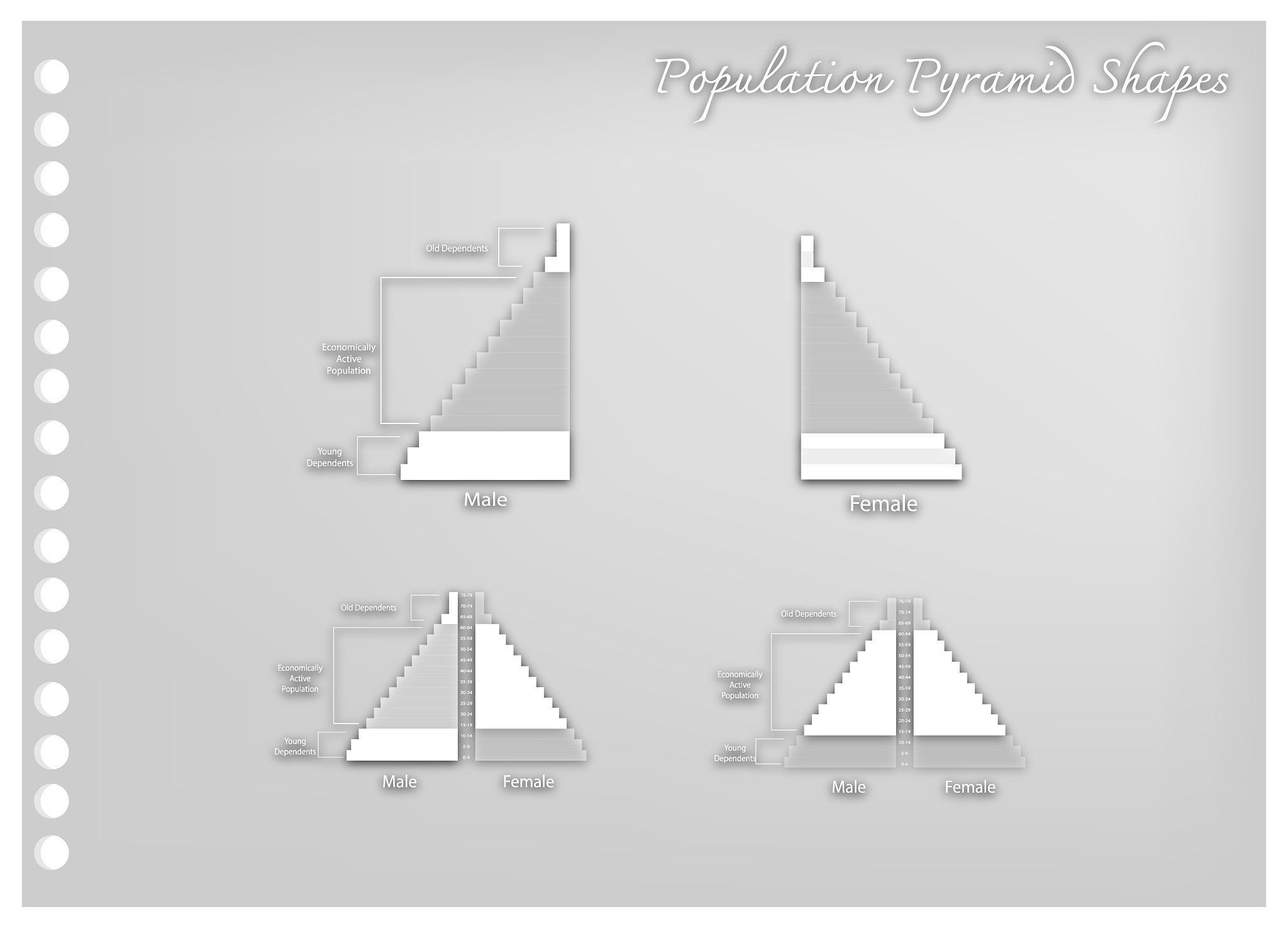 城乡规划区域人口金字塔结构分析
