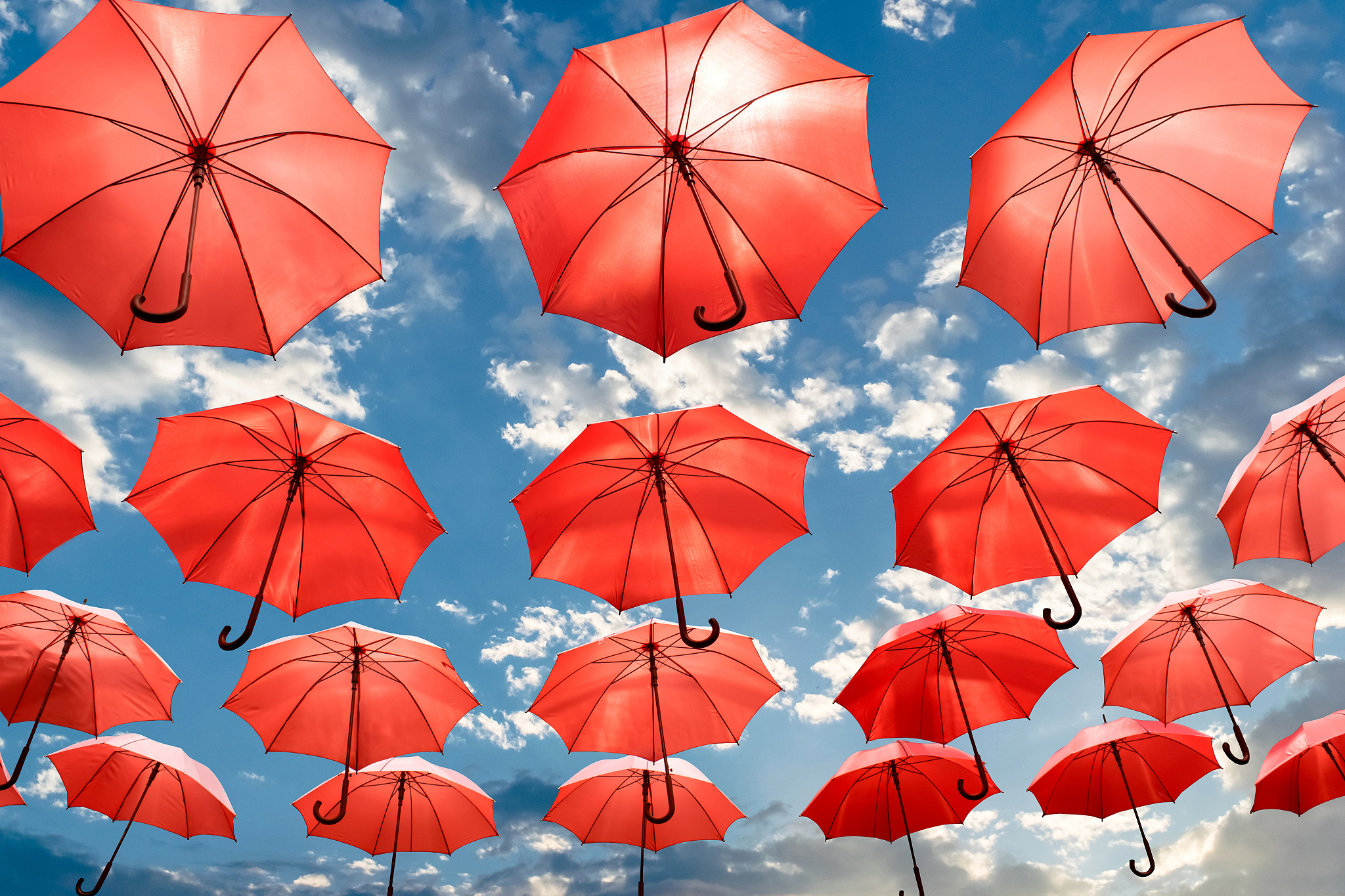 umbrella standing out from the crowd unique concept
