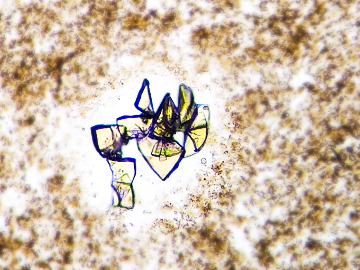 晚睡晚起晶体的晶体学分析方法