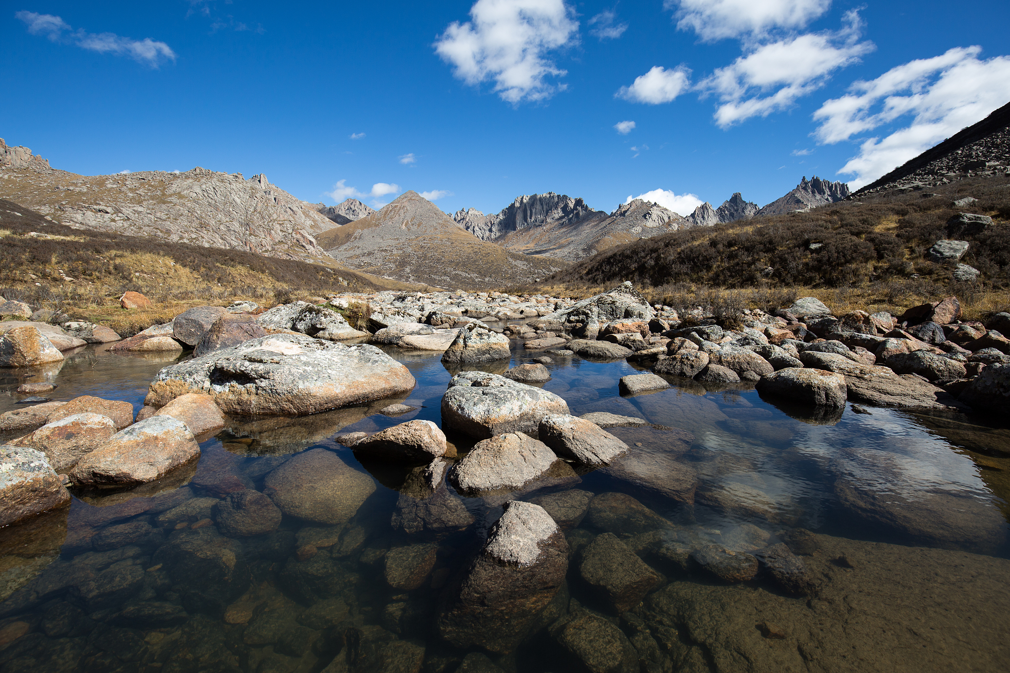 甘南州中等职业学校2023年有哪些专业