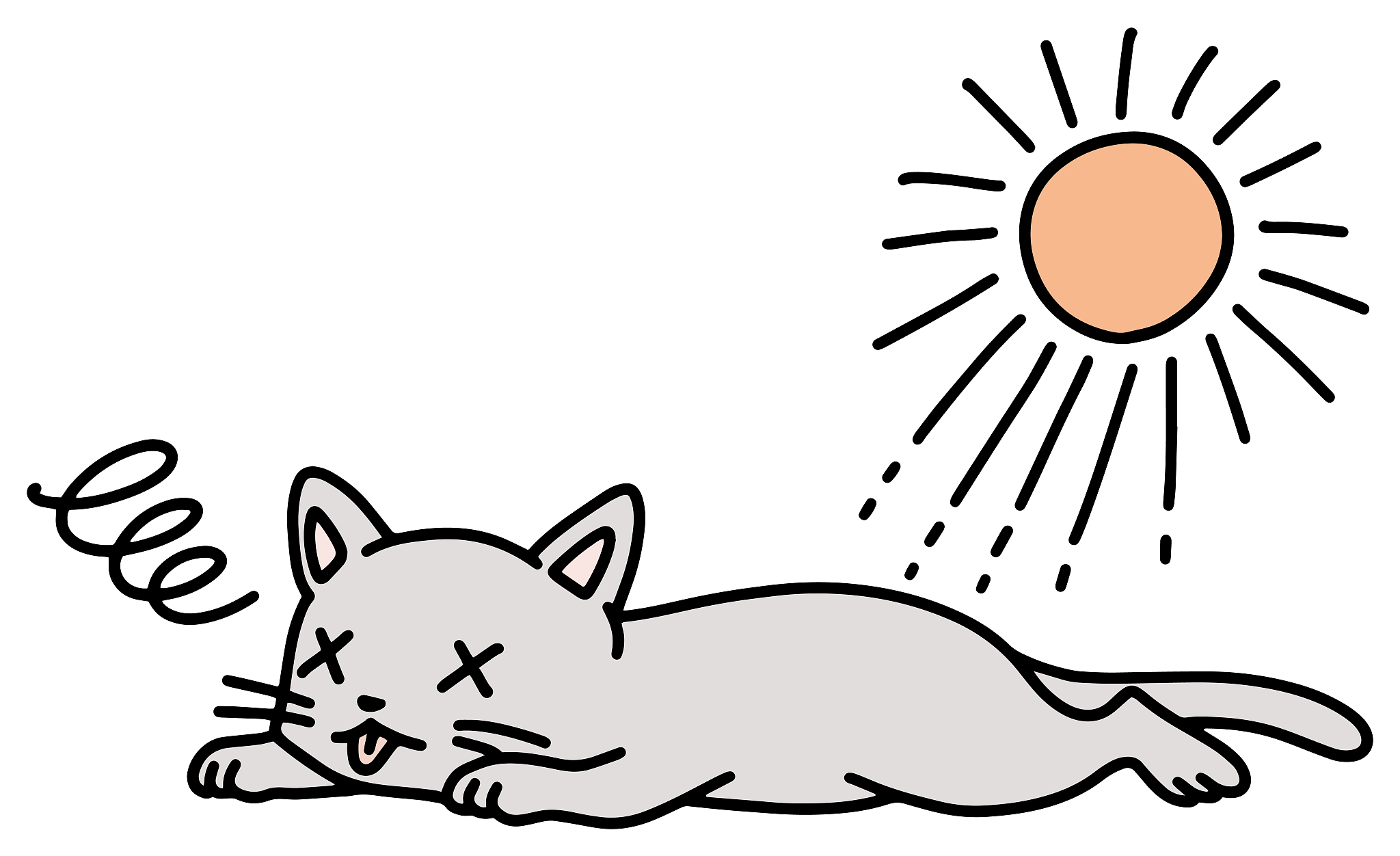 猫的正常体温是多少？- 范围和测量方法