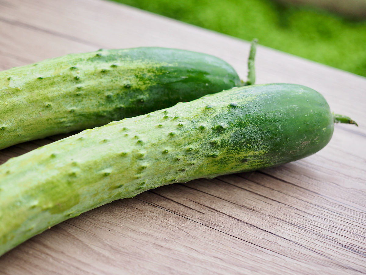 黄瓜彩收怎样不让刺变白鲜膜包黄瓜可以保鲜吗帮我用200字详细描述