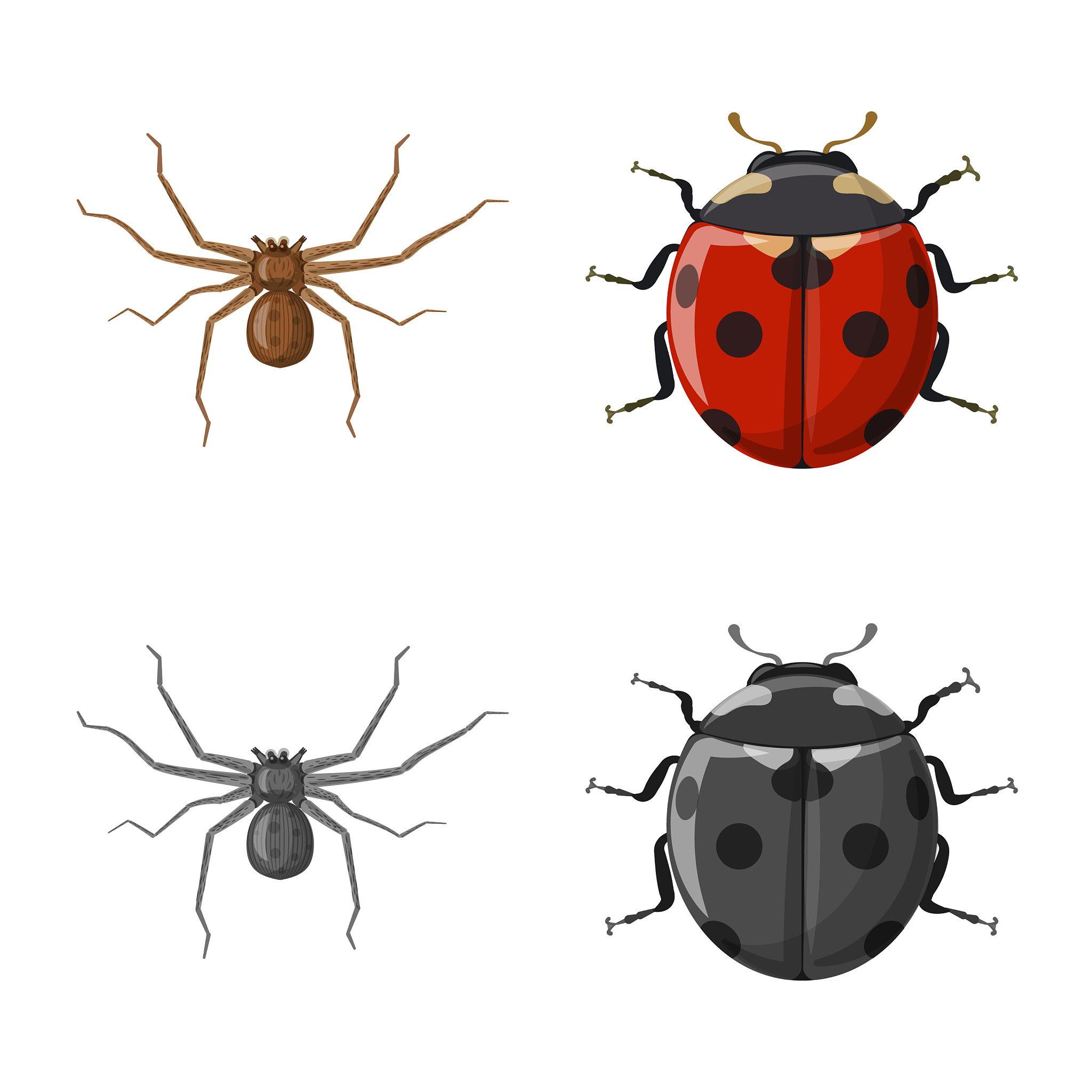 Current Opinion in Insect Science 期刊: 昆虫科学研究前沿综述