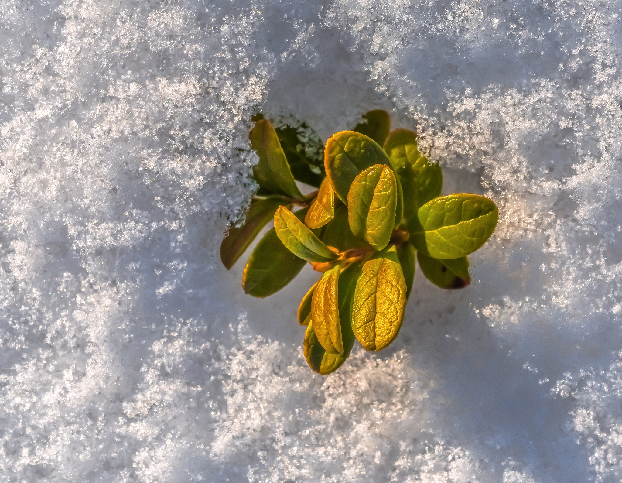 Как целите на разследването на доказателства за престъпления си сътрудничат с хората около тях