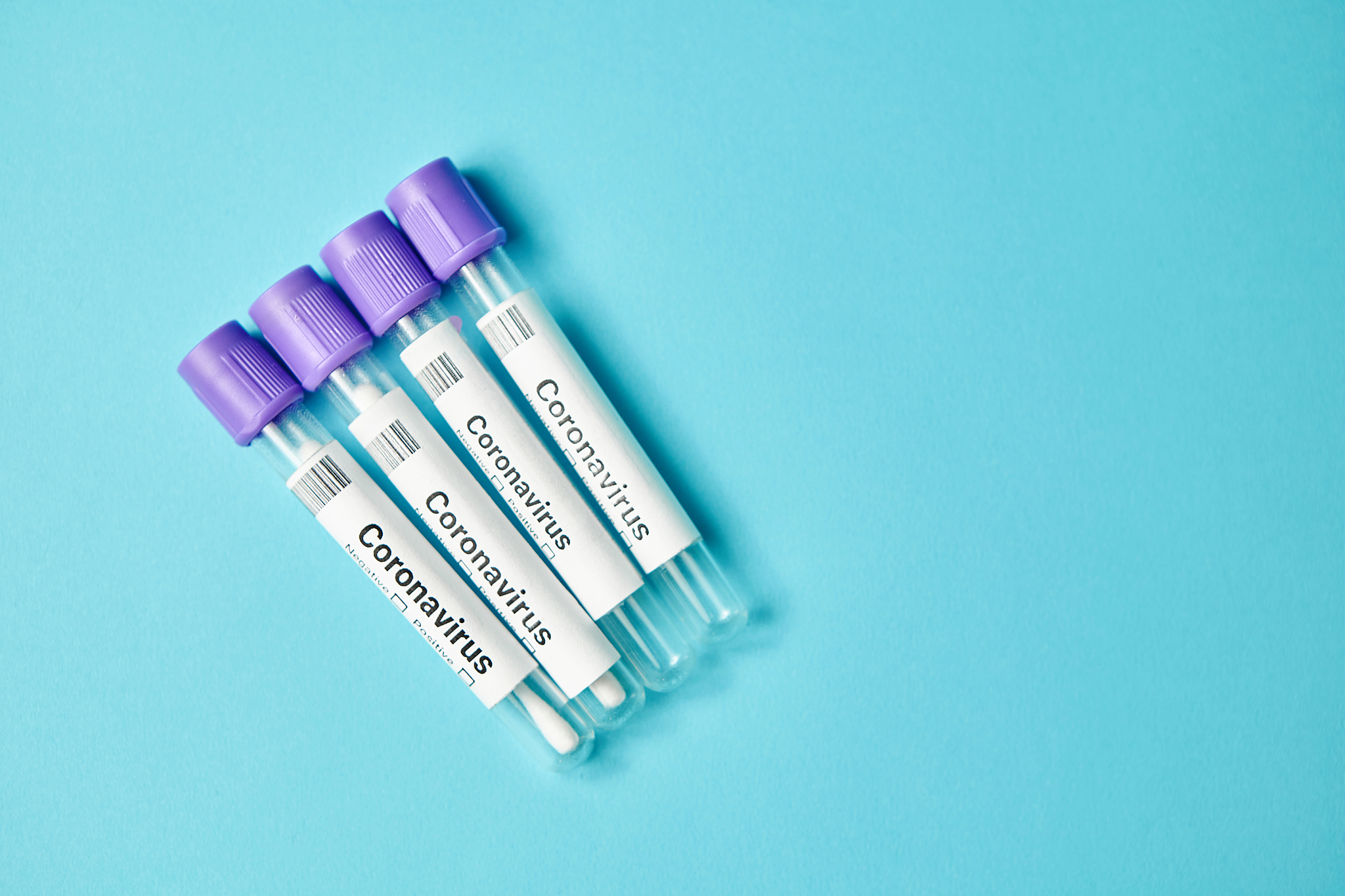 石家庄医学高等专科学校怎么样受欢迎不