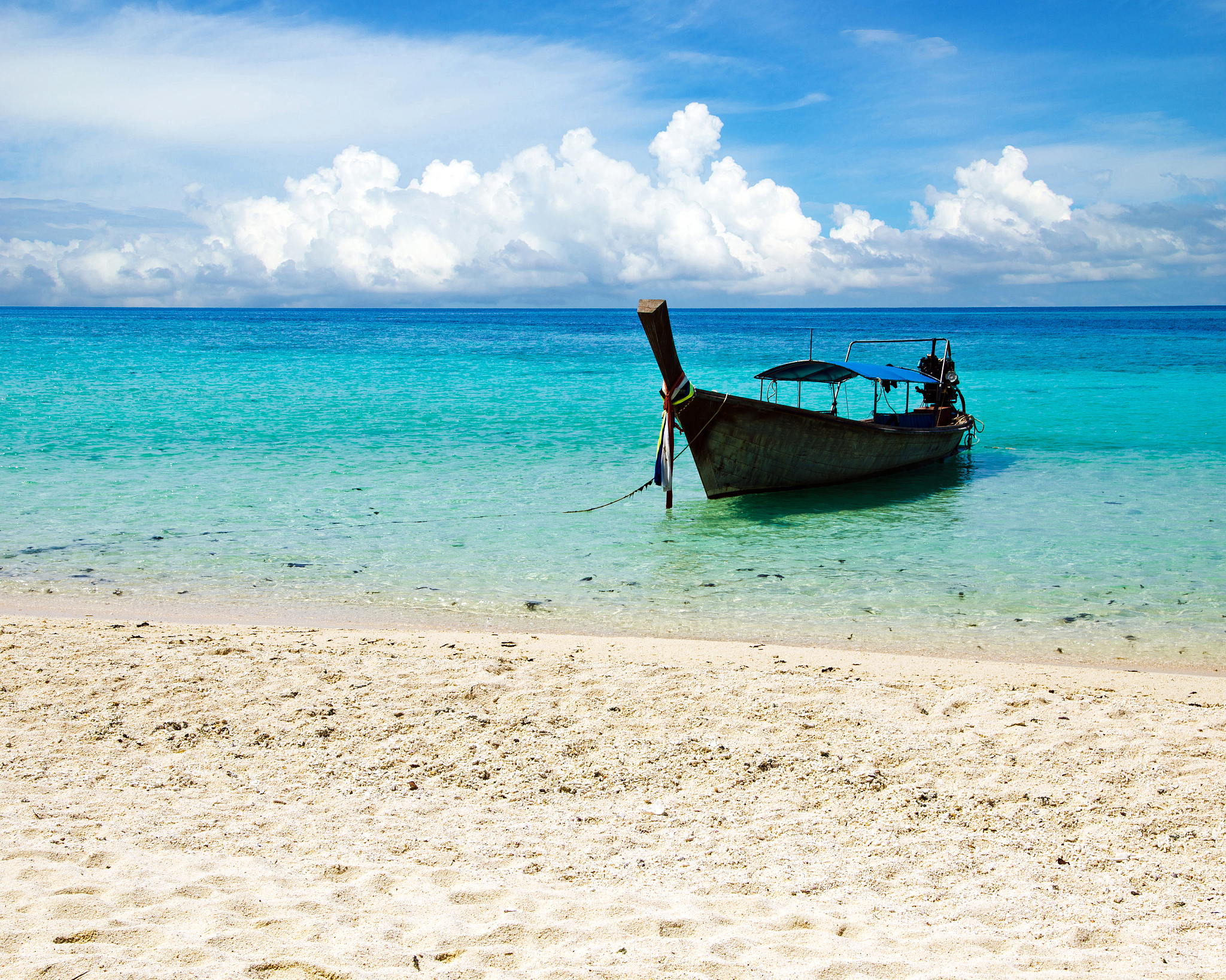 beach and tropical sea