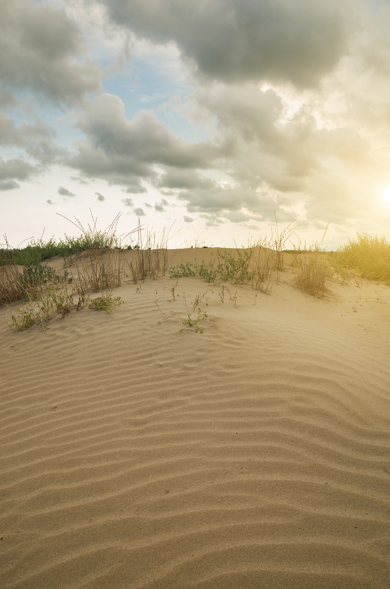 beach sand