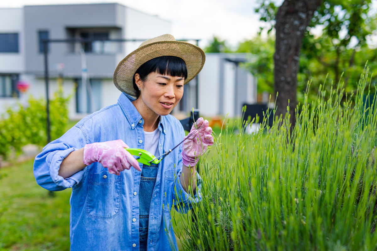 结合园艺技术专业谈谈在后疫情时代作为当代青年应如何抓住机遇与挑战 放飞青春梦想中实现自己的人生价值题目自拟宇数 800 以上要求论 式规范