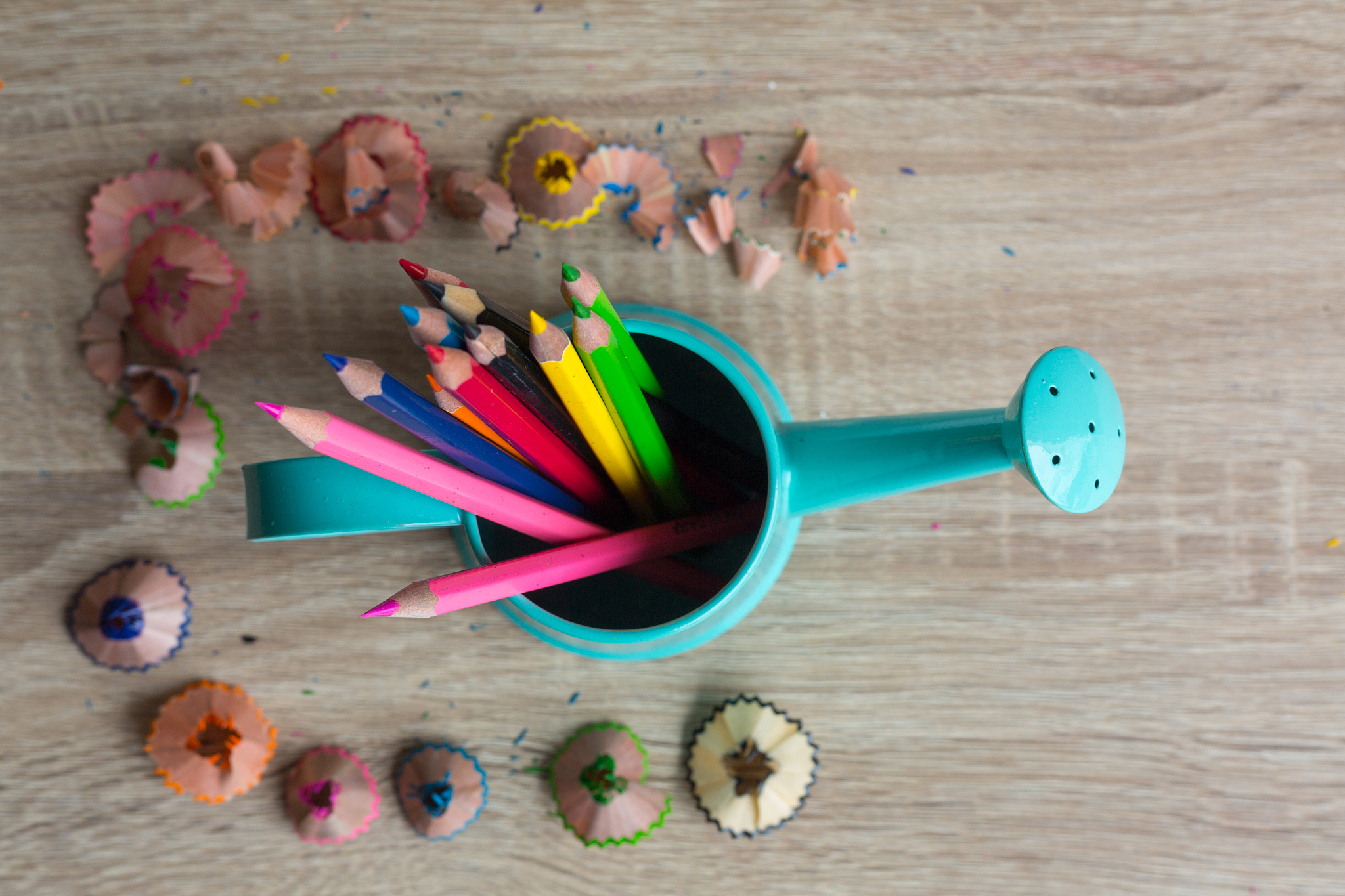 幼儿园科学区材料投放: 如何利用层次性激发孩子探索欲