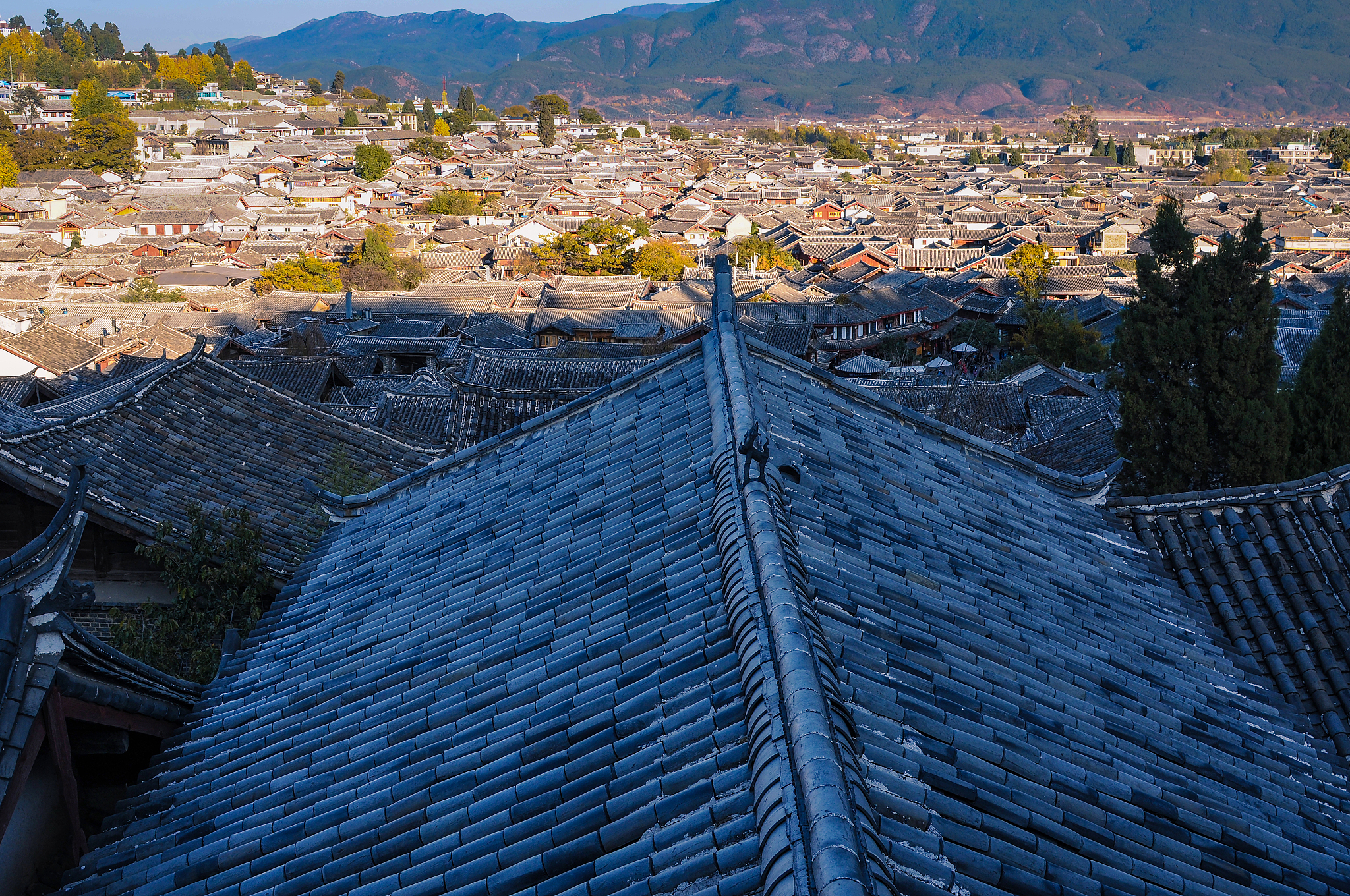 丽江艺术设计学校简介用发散性