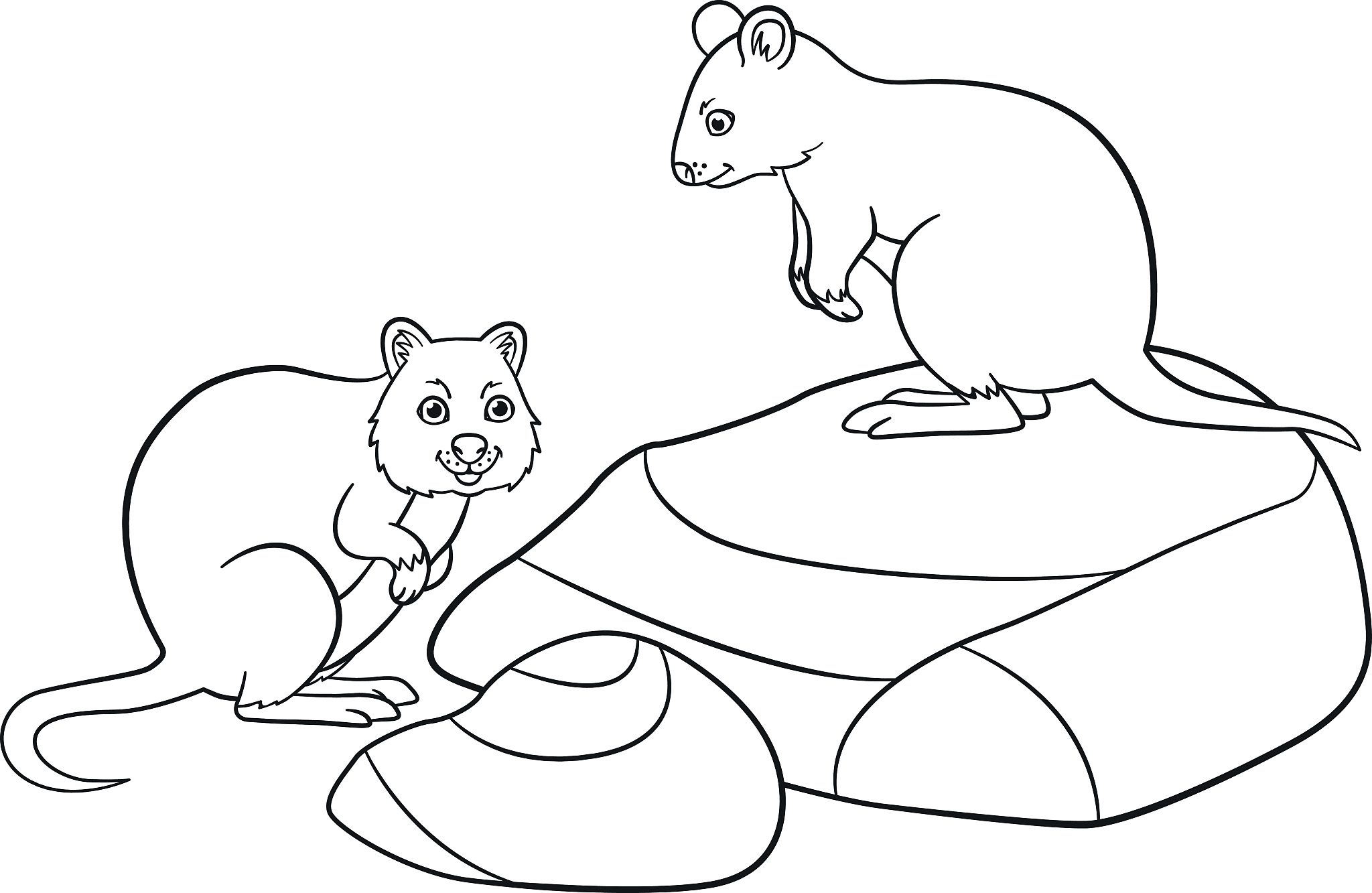 2021年贵州内贸幼儿师范学校招生简章 - 报名条件/时间/考试科目