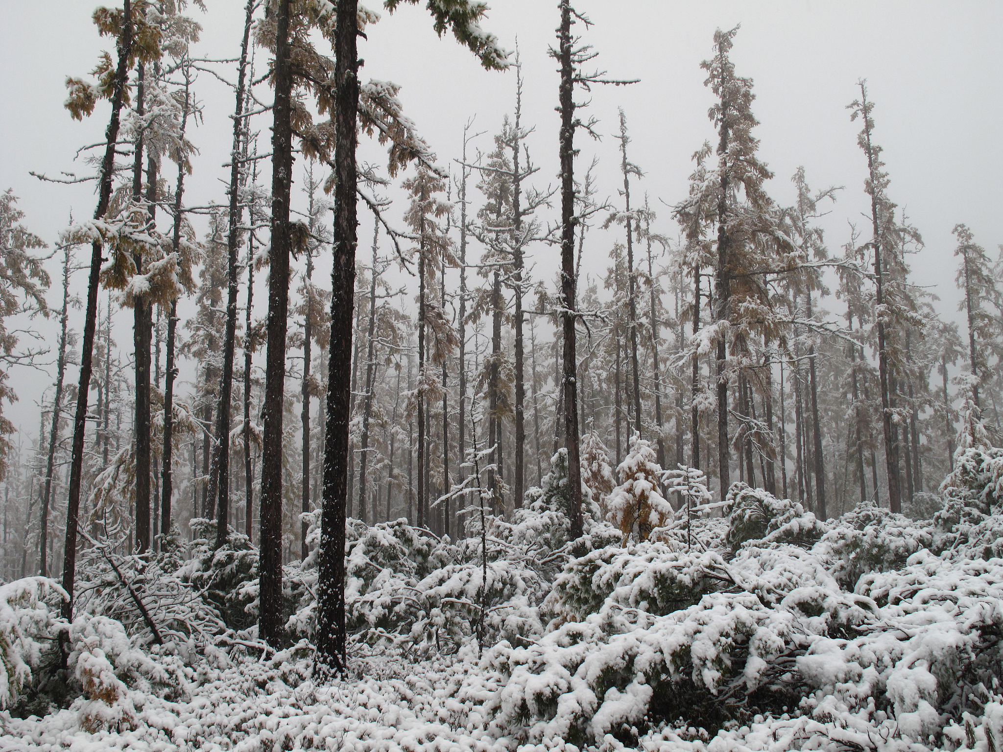黑龙江职高学校大全：分布、专业、设施一览
