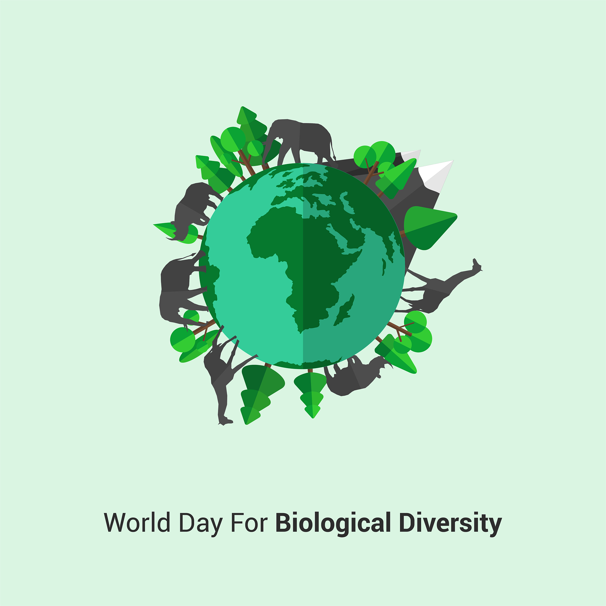 BIODIVERSITY AND CONSERVATION期刊: 生物多样性研究和保护领域权威期刊
