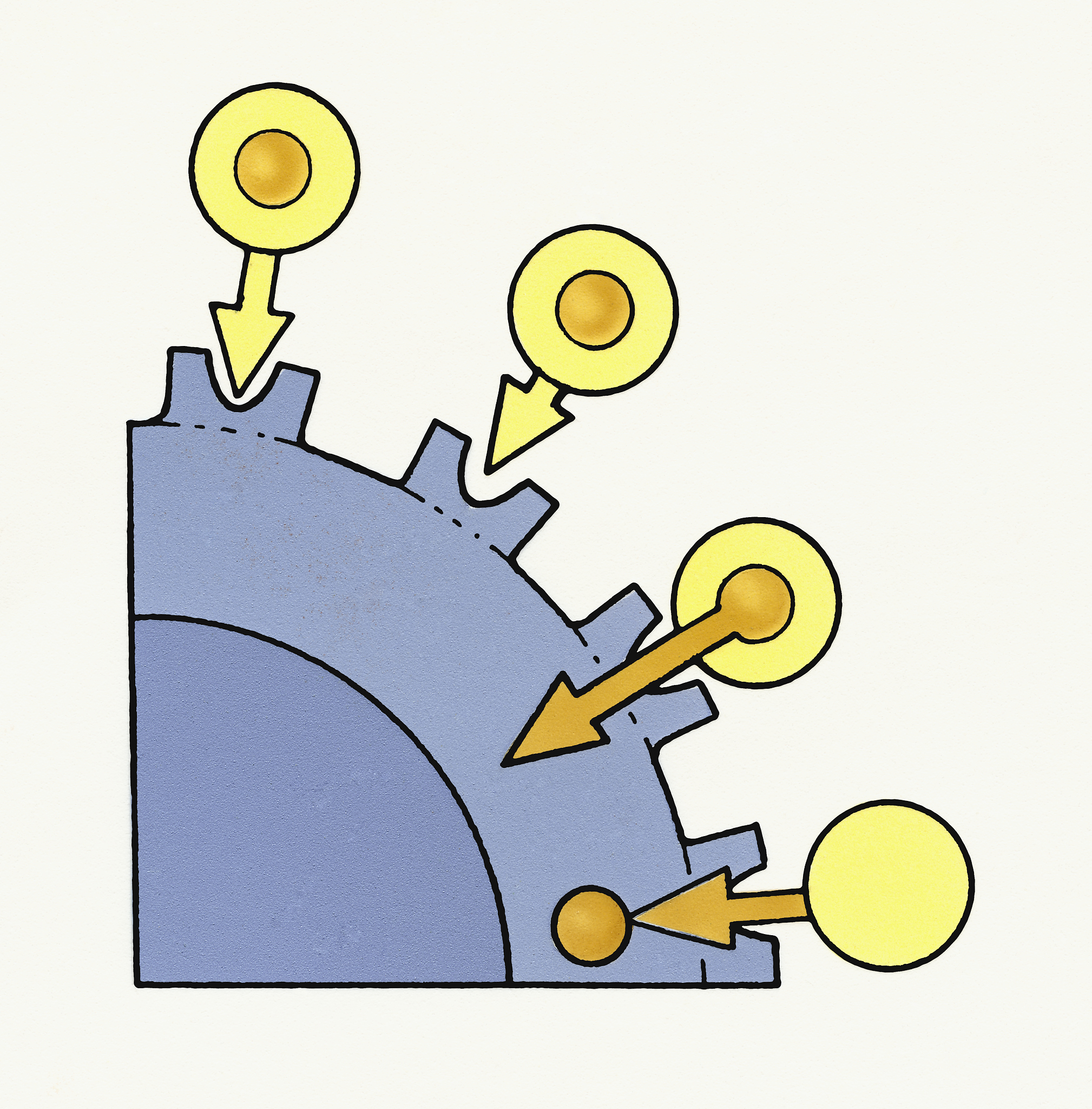 胆固醇对细胞膜流动性的影响 - 维持膜稳定性和功能的关键