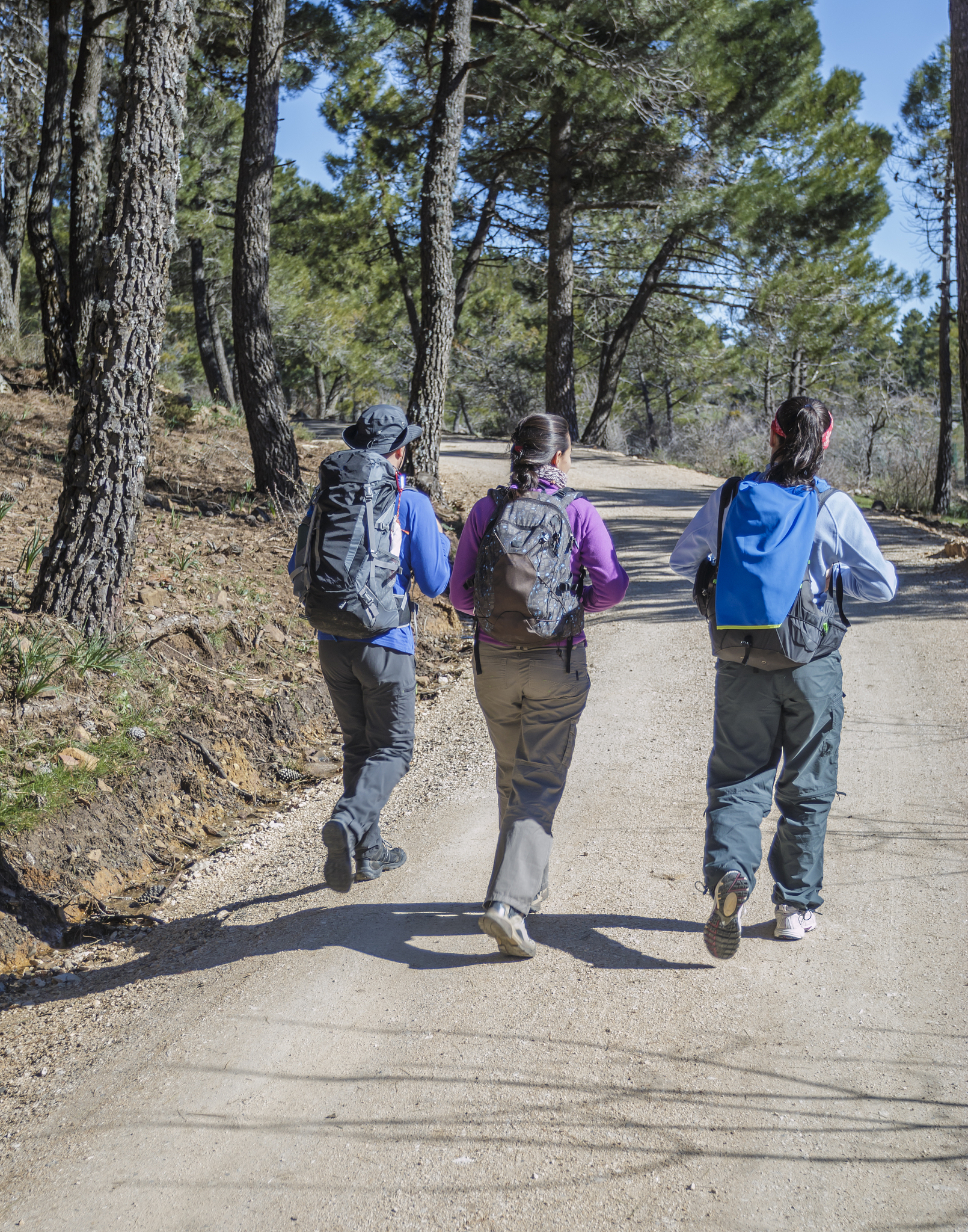 徒步人群的特征有哪些