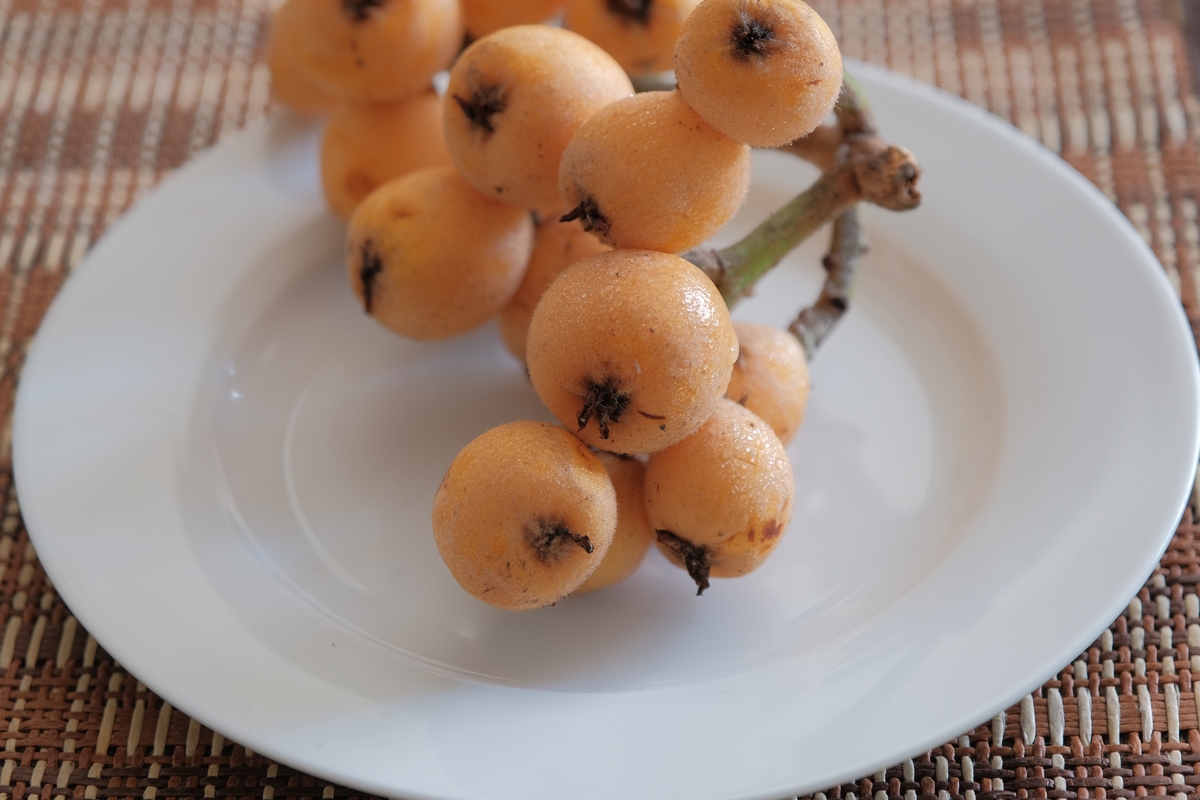 枇杷果核分离详细原理