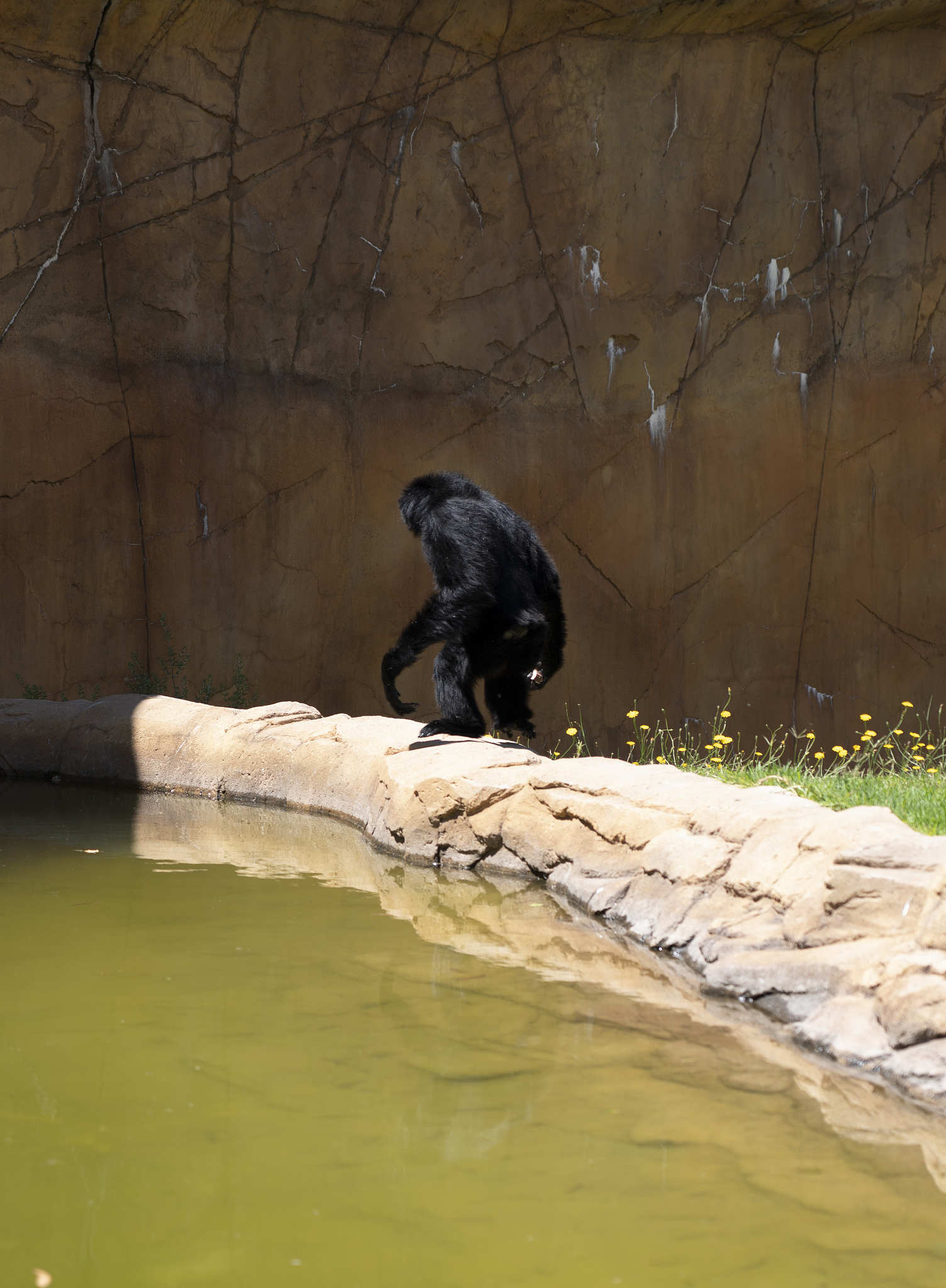 G公司需求与供给预测方法优化方案