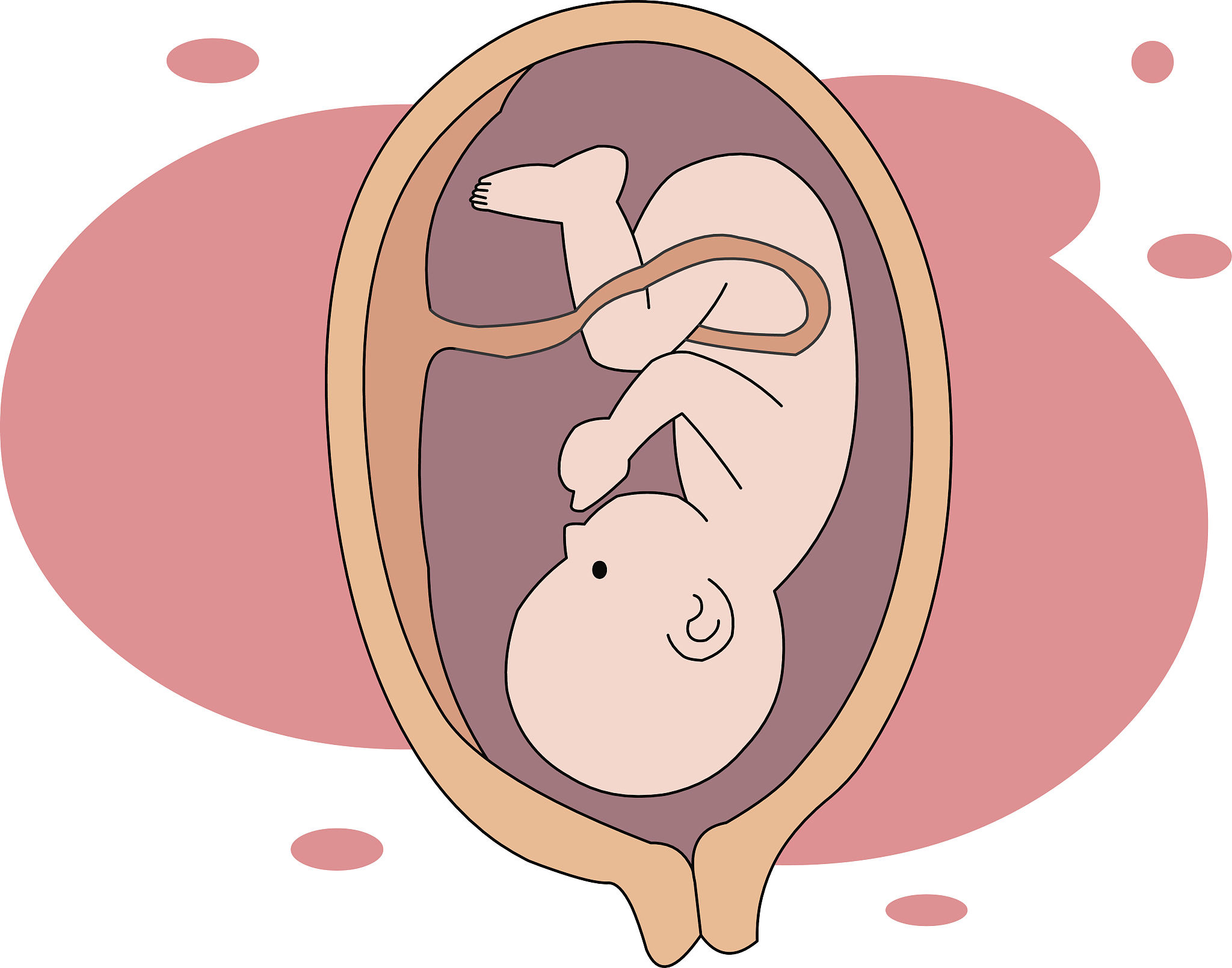 妊娠满周不满周之间分娩者称为早产。此时分娩胎儿体重多在~g之间