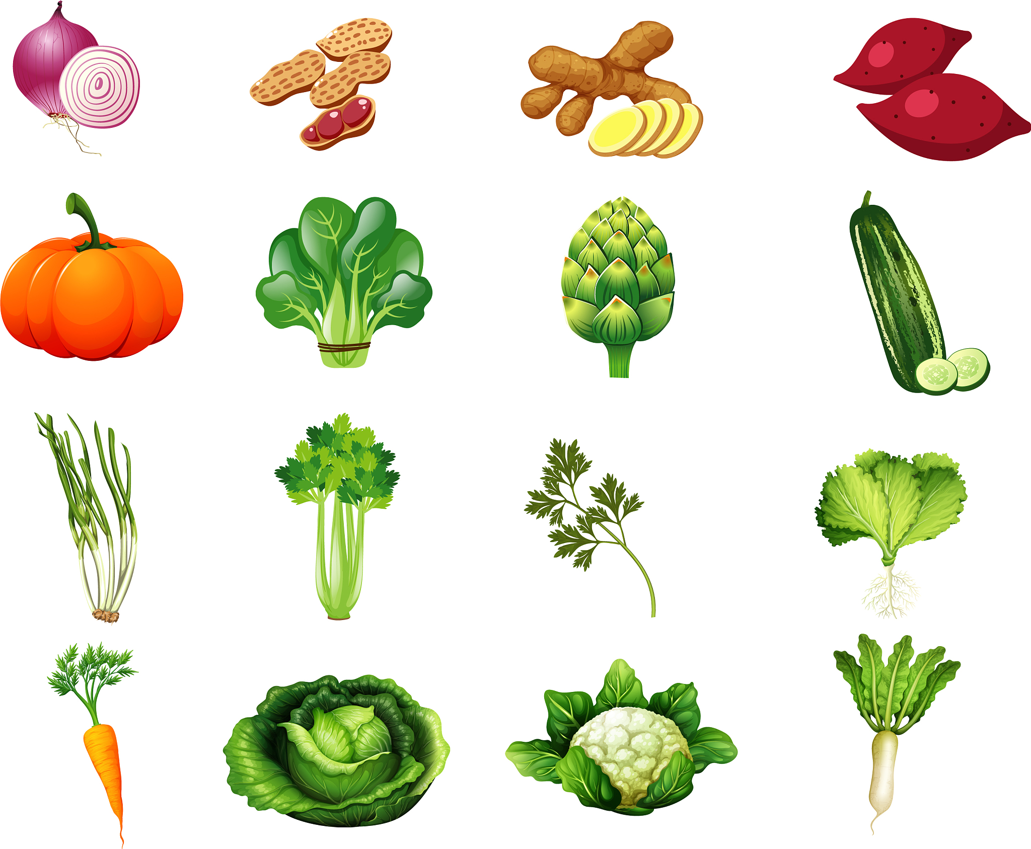 植物和蔬菜的区别：辨别食用部位及毒性