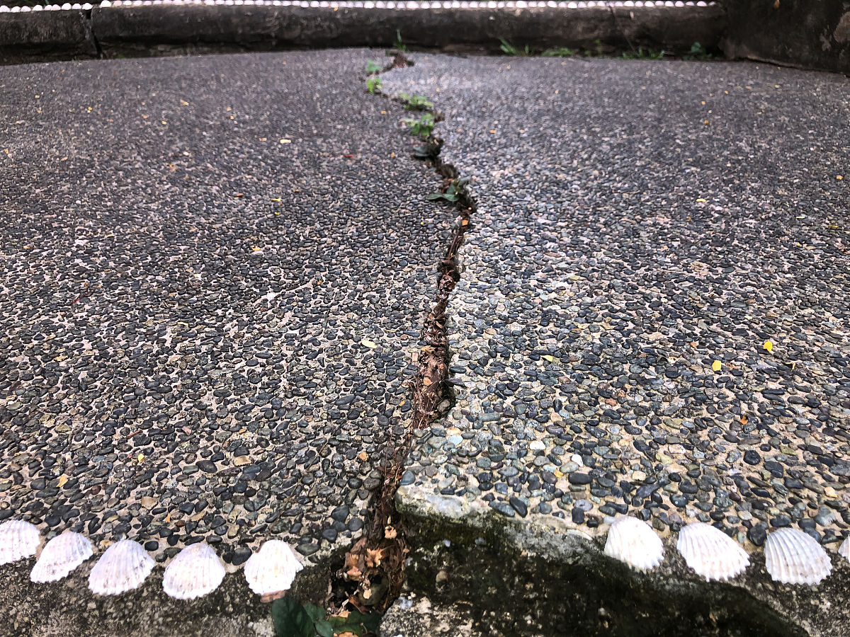 道路桥梁施工中混凝土裂缝成因及应对分析研究意义