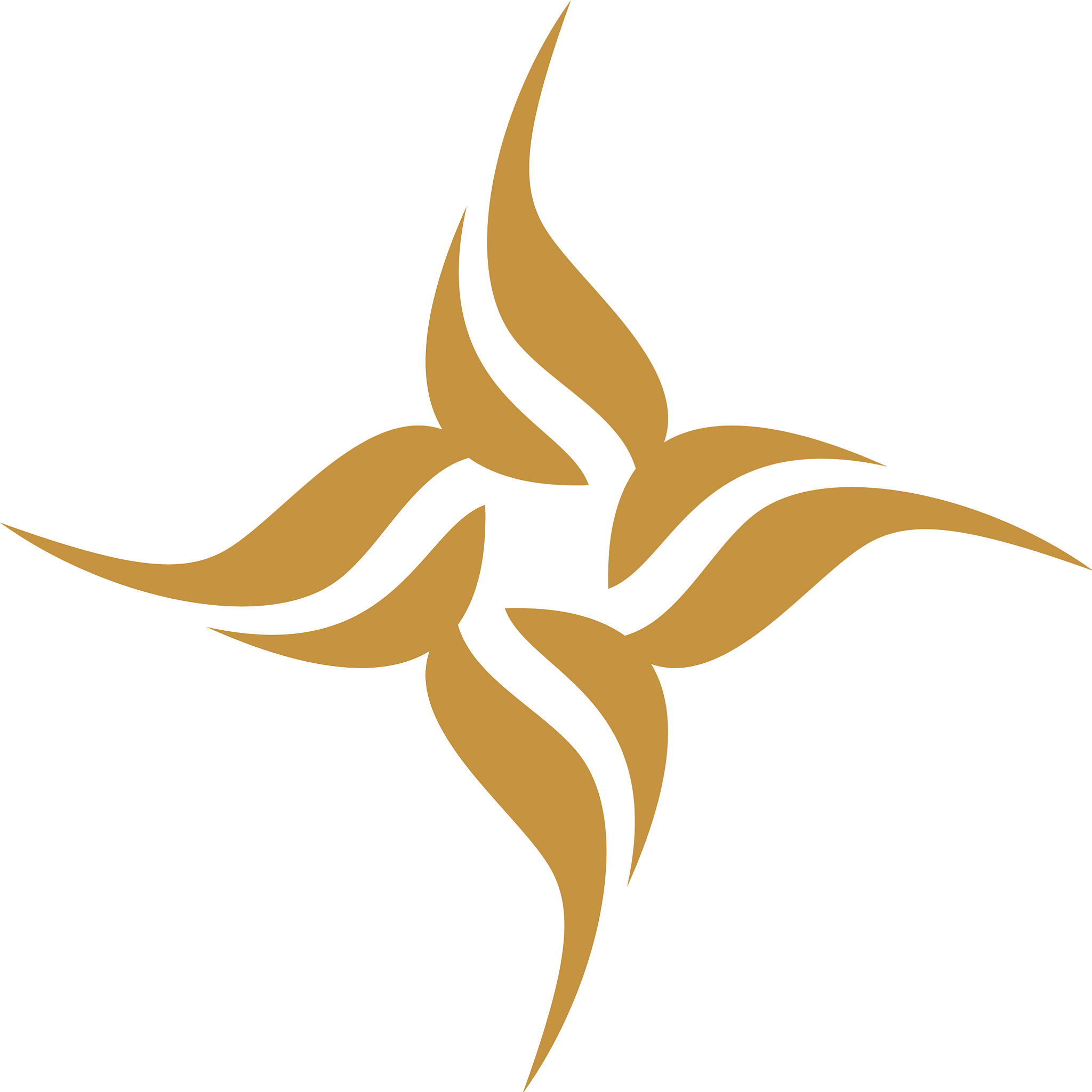 30篇300字传媒公司实习日至