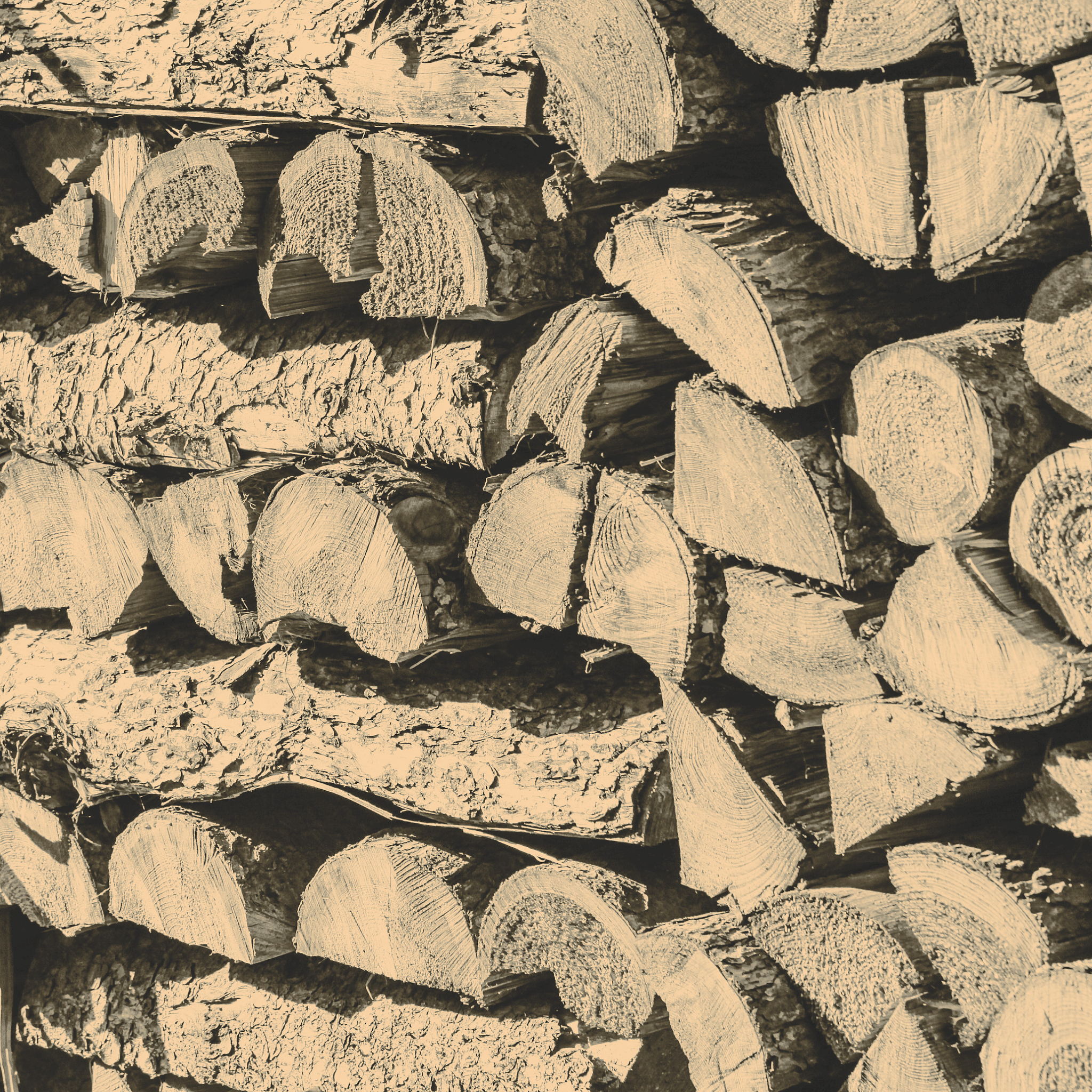 木质纤维增强陶粒：强度、韧性及孔隙结构分析