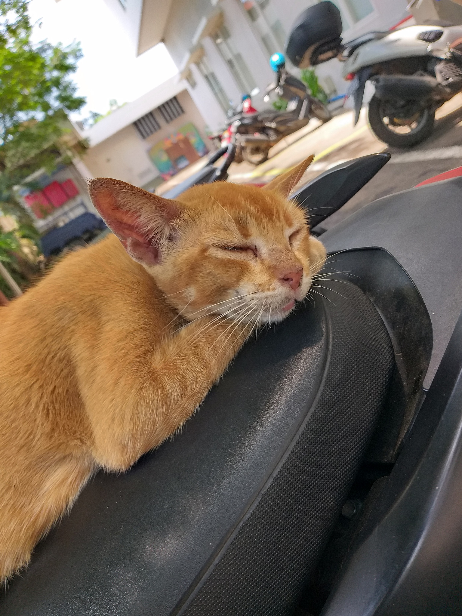 Cara Bangun Pagi dengan Segar dan Bertenaga