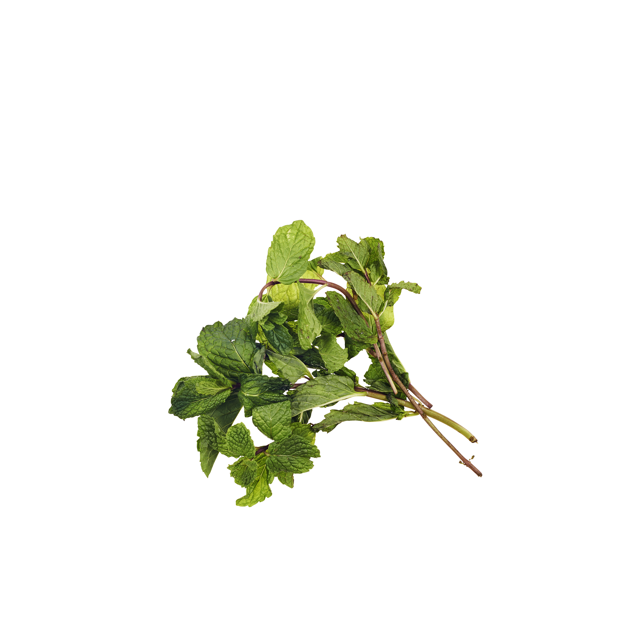 台江县中等职业学校现代农艺技术专业到底行不行设有哪些课程怎么样