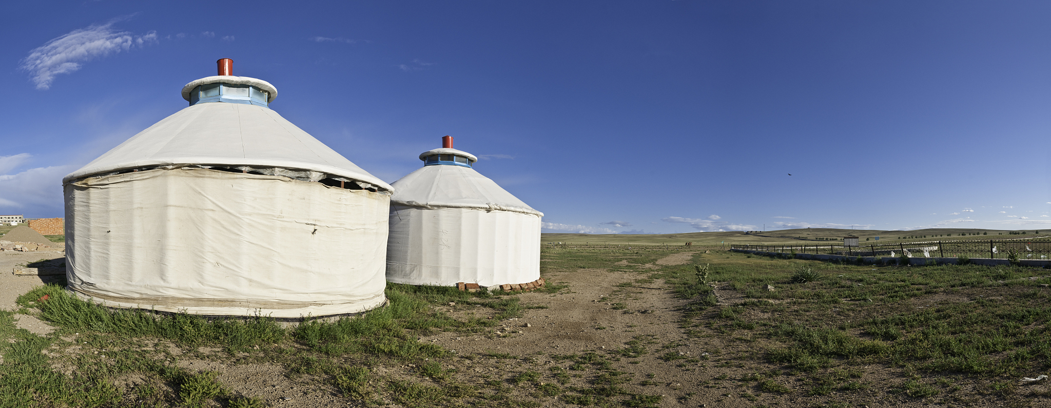 蒙医医疗与蒙药培养目标