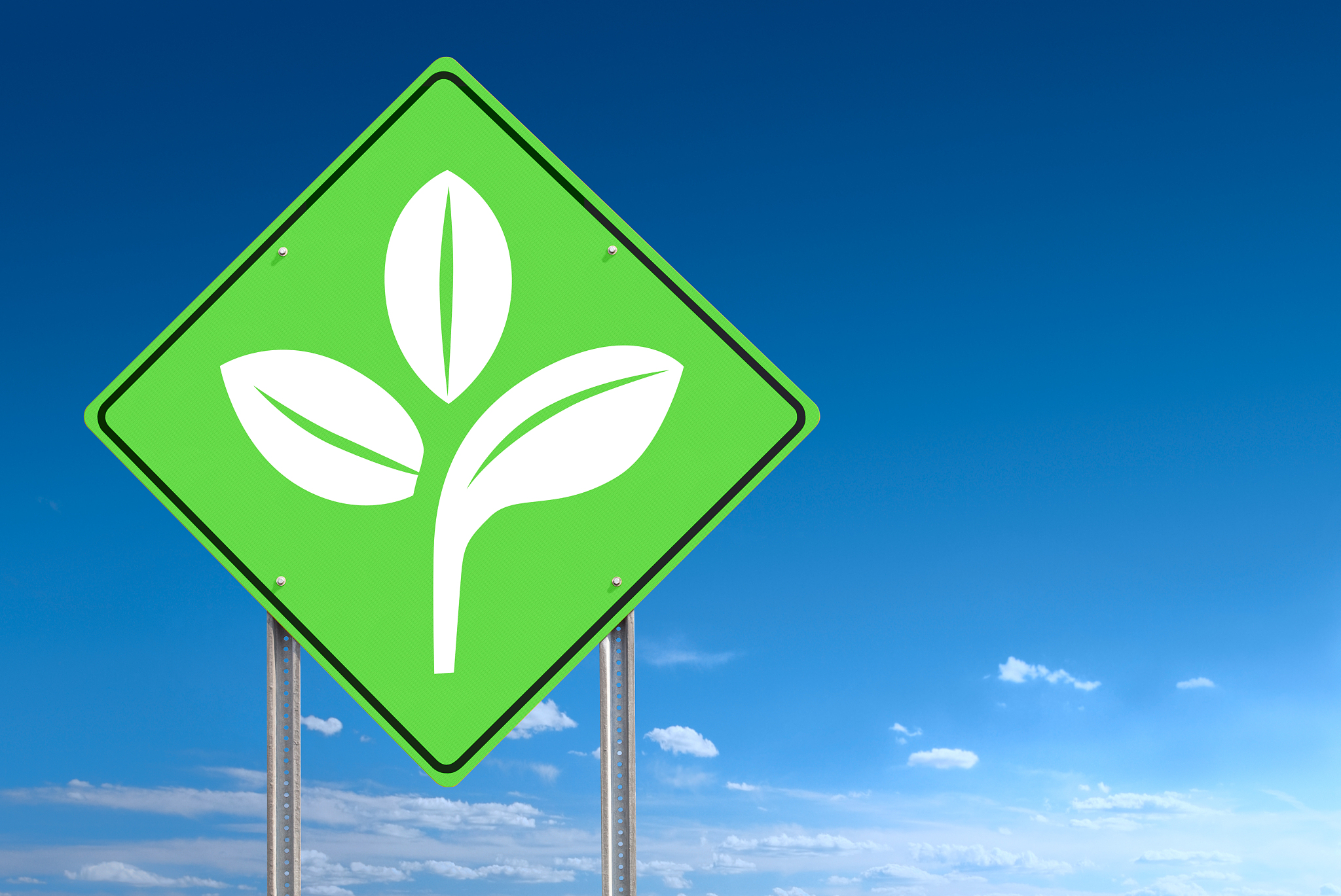 green ecology sign
