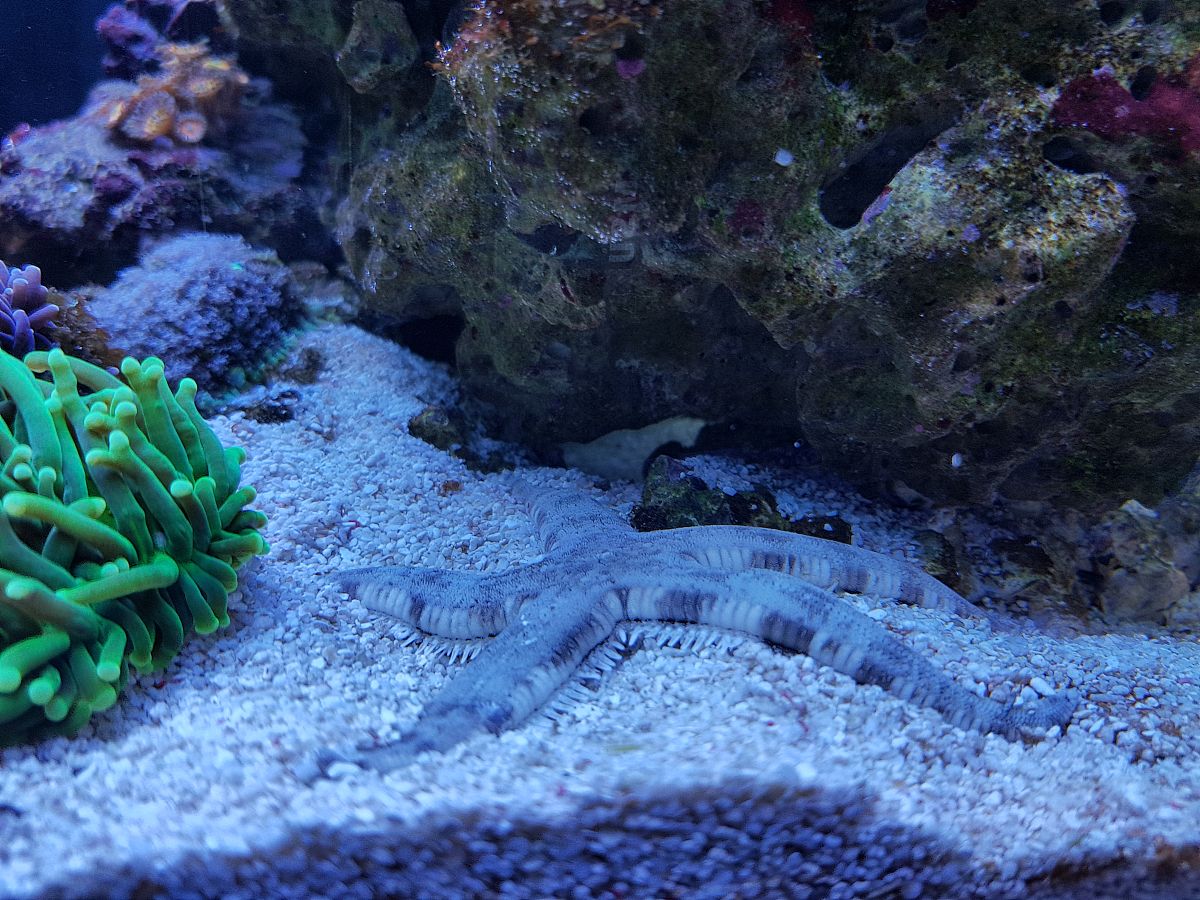 材料课筛沙实验总结报告：探究砂粒度分布与性能影响