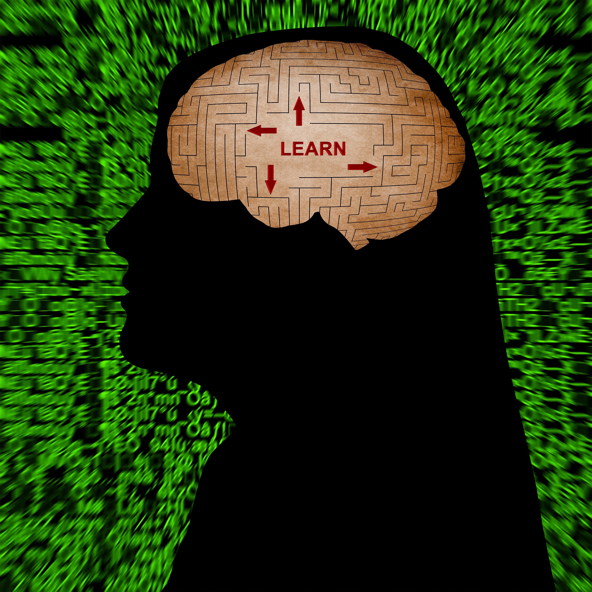 大脑过载:高中怪病,大学奇遇 大脑过载:高中怪病,大学奇遇