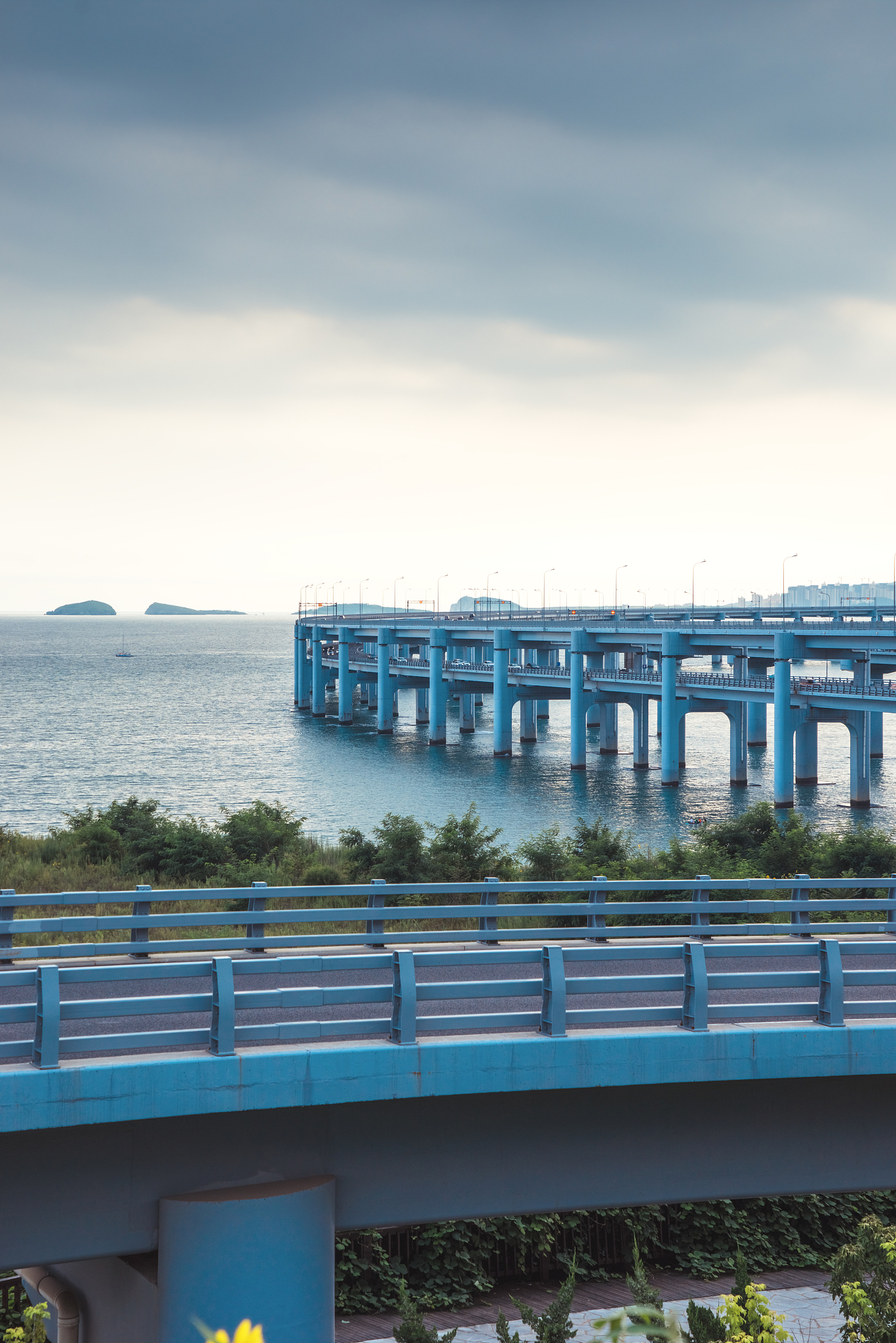 大连职业技术学院法律事务专业课程设置有哪些