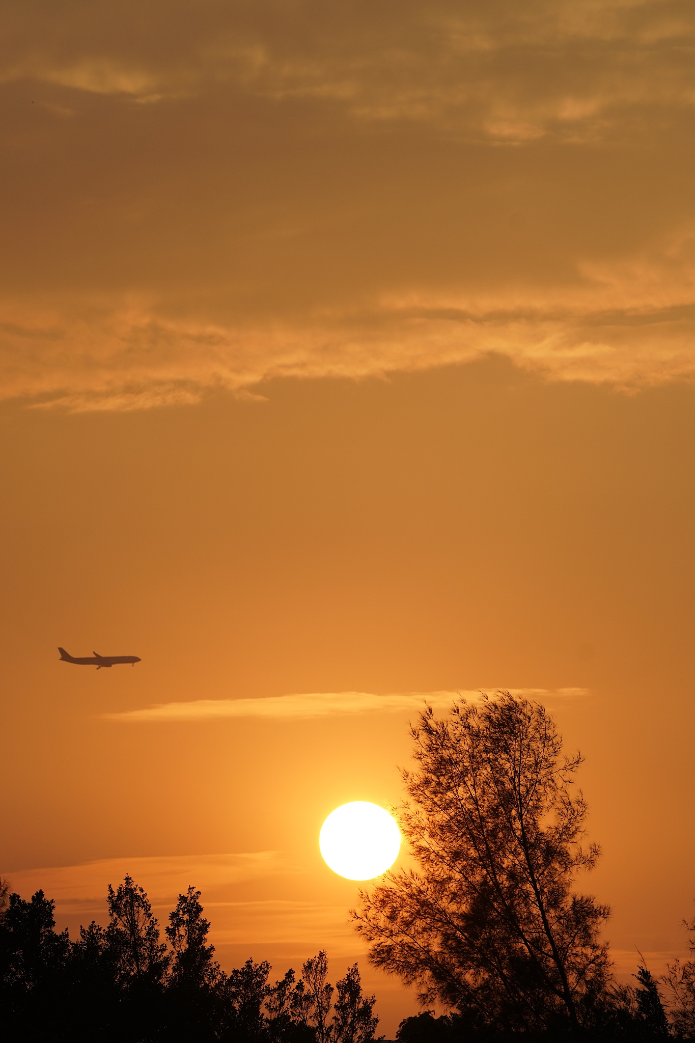 写一首有关夕阳的五言绝句