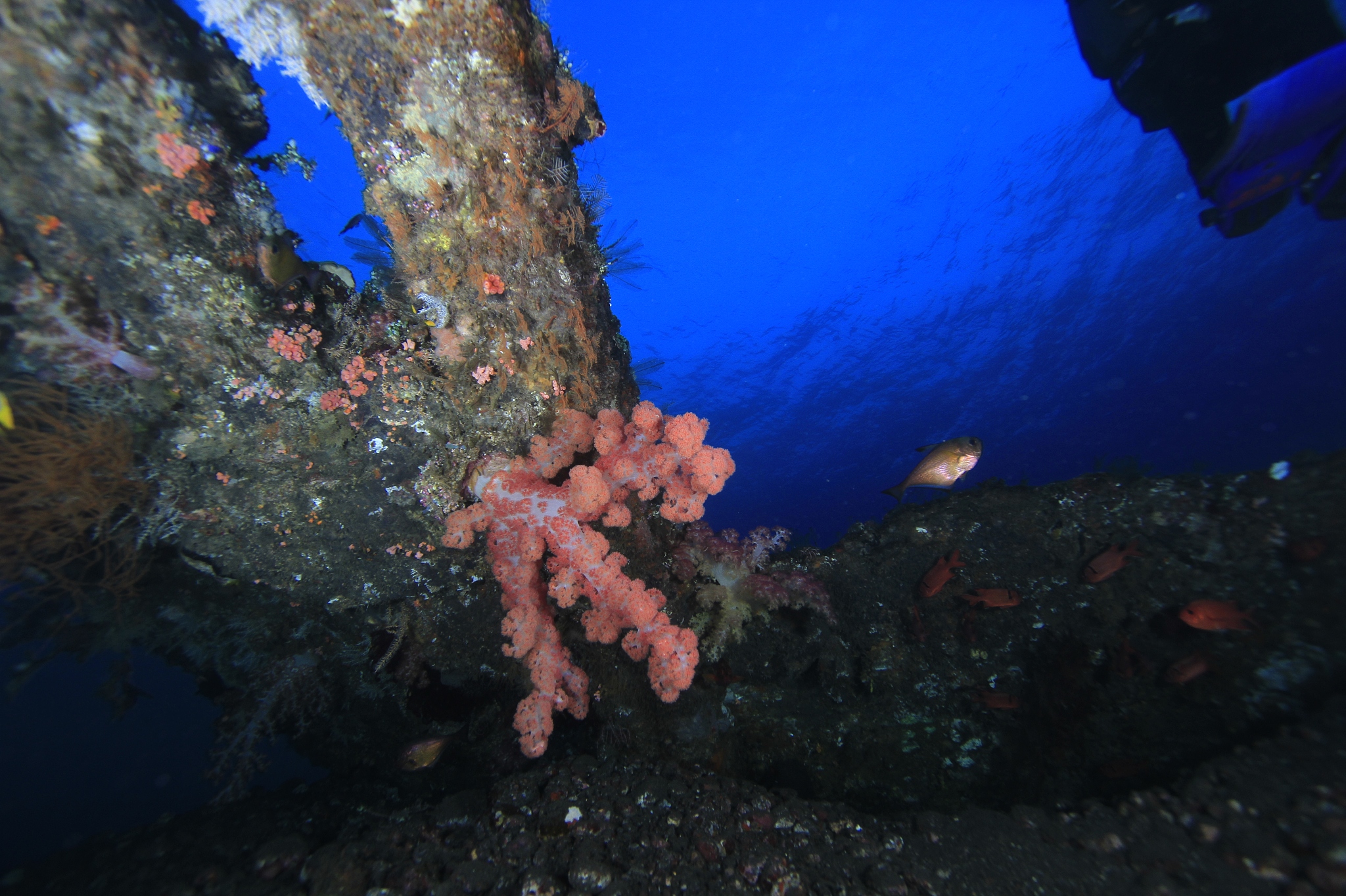 海洋工程专业就业前景和发展趋势深度解析