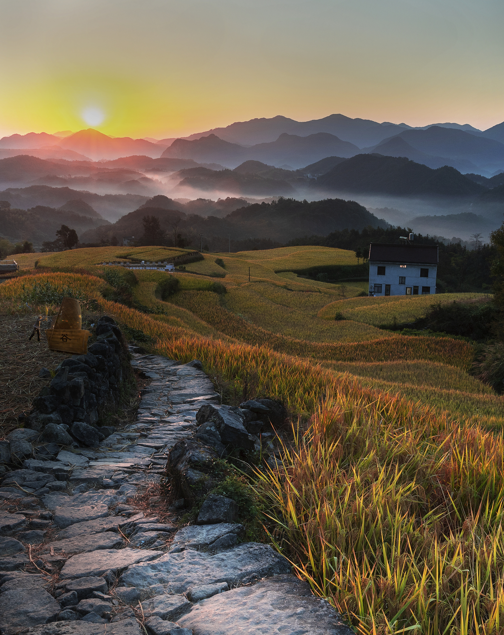 清晨美景：金光灿烂，如诗如画