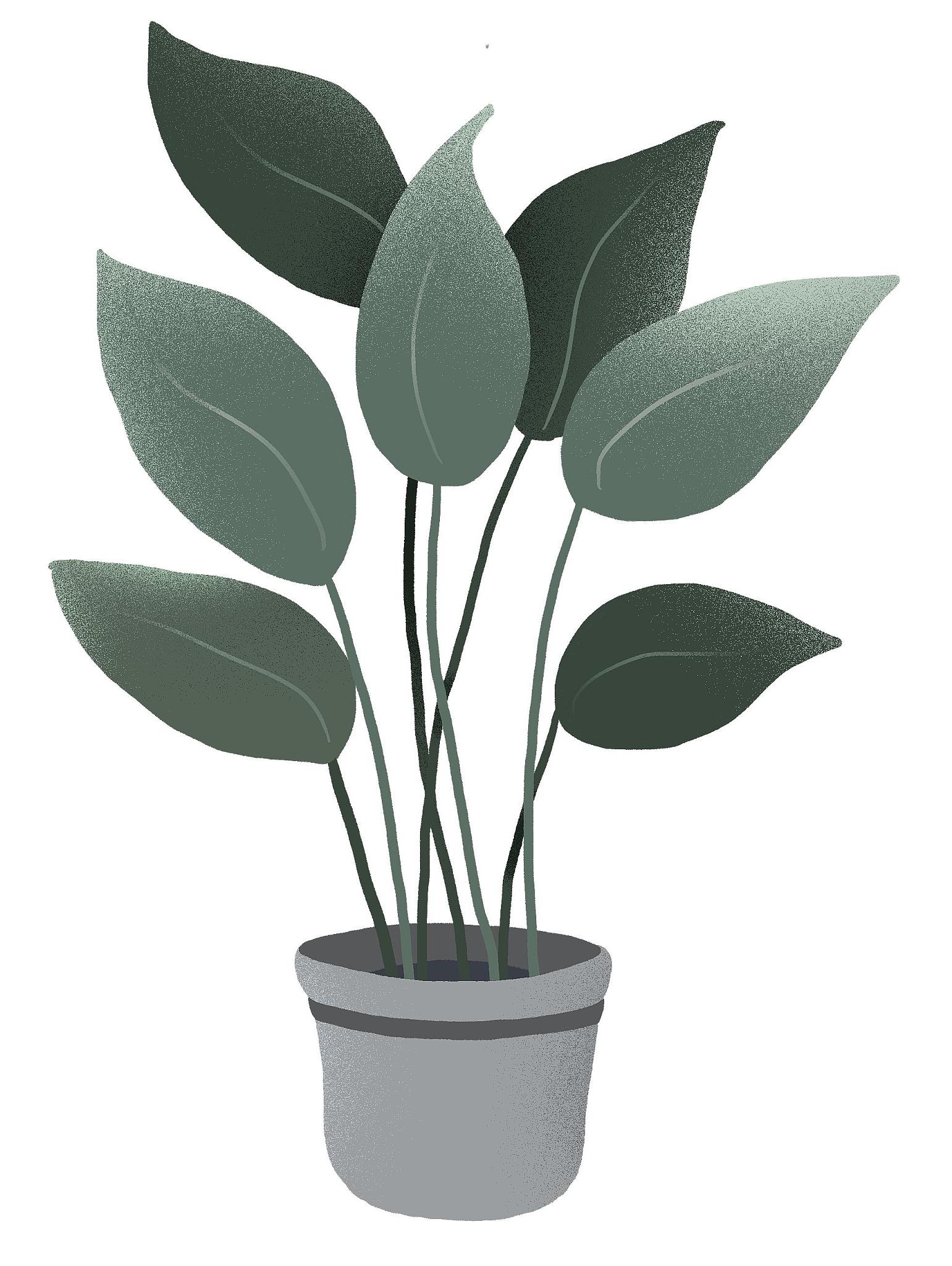 请围绕二十四节气传统文化融入幼儿园教学活动策略之积极开展户外活动加深幼儿传统节气理解展开创作