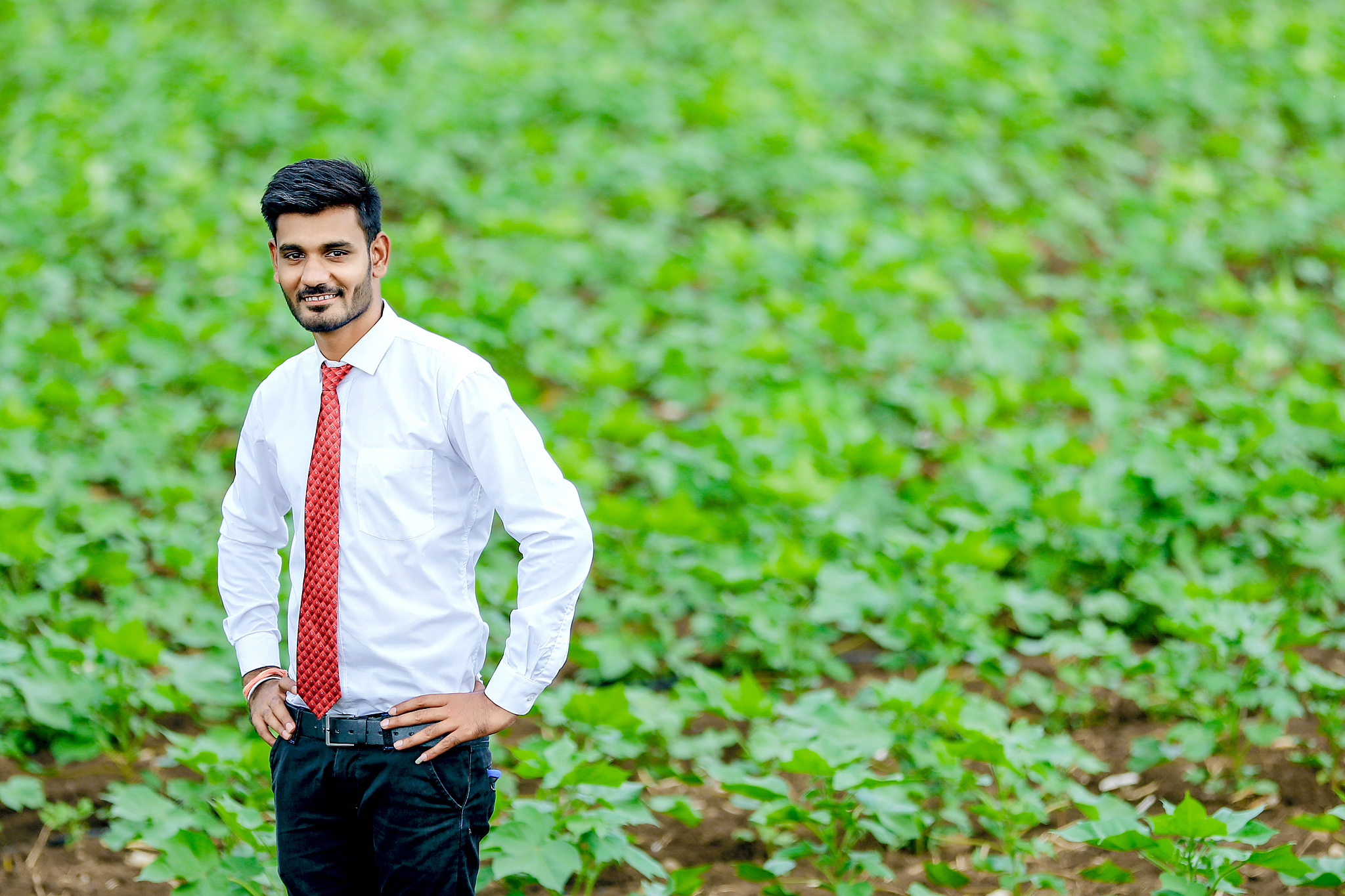 吉林农业管理属于农学还是管理学 学什么课程