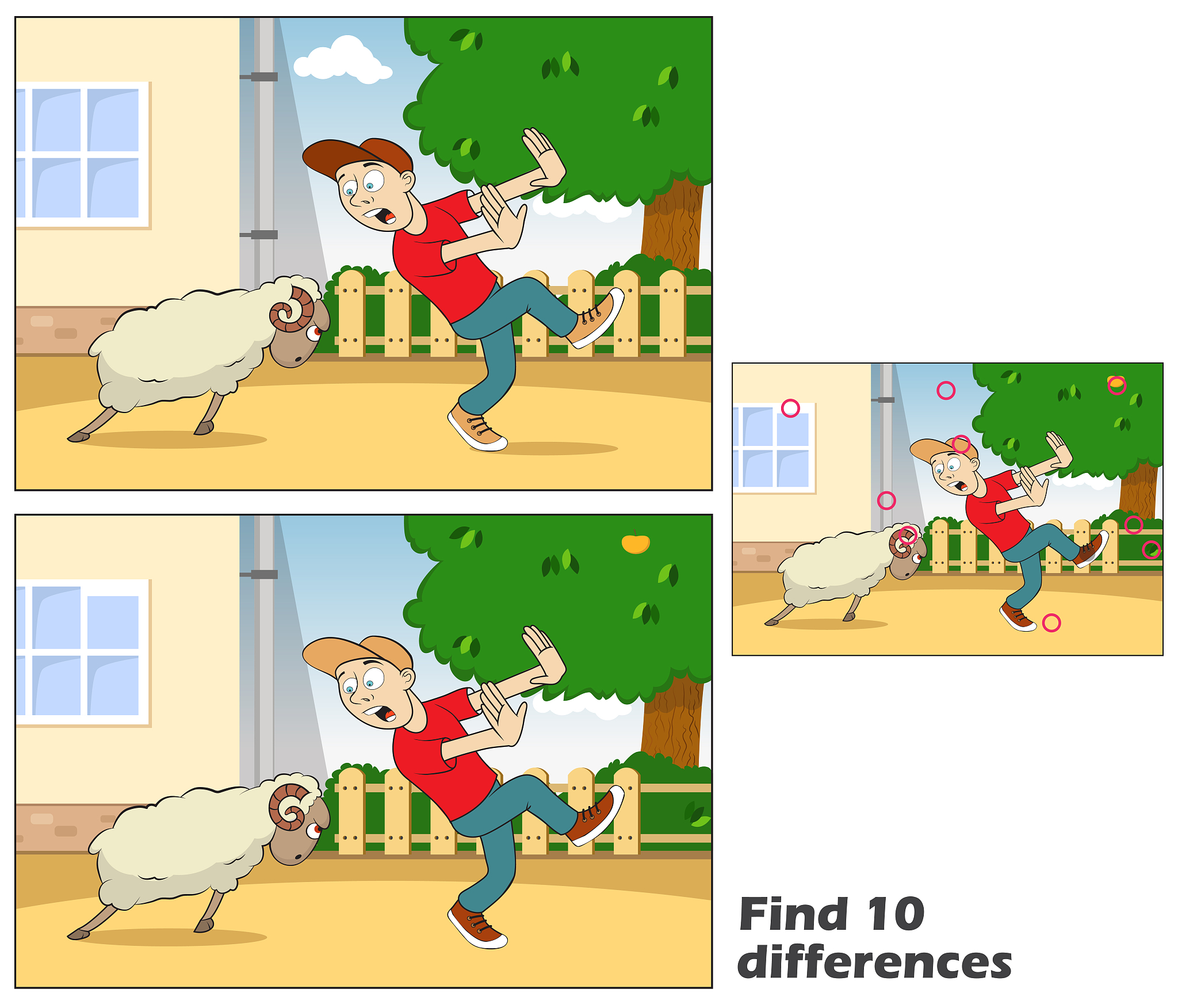 A New Home for Socks: A Heartwarming Story of Friendship and Compassion