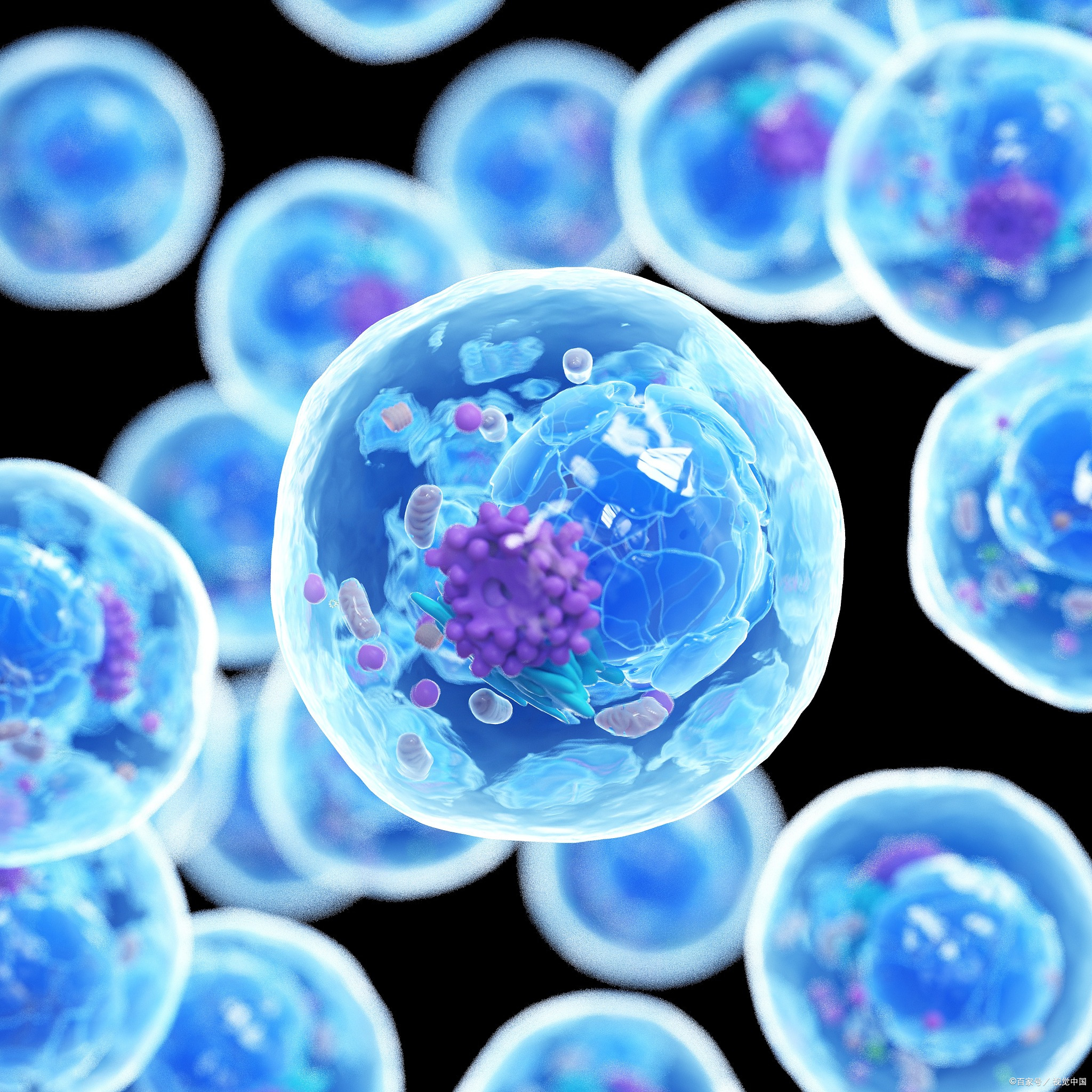 Effect of Endotoxin in Cell Culture Media Raw Materials on Cell Growth