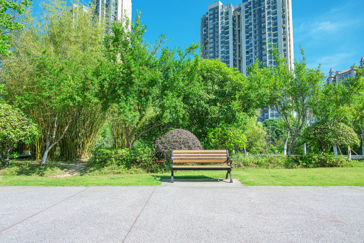 鸿鑫聚境南区绿化：环境优美，绿树成荫